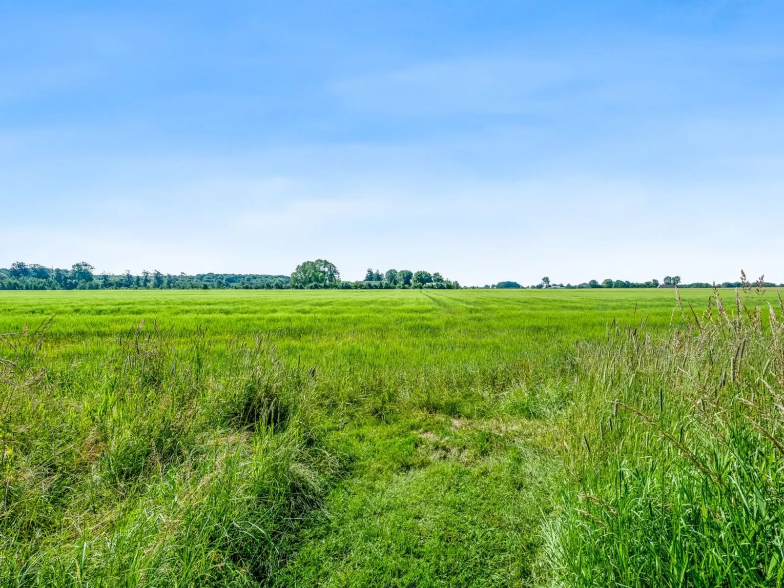 "Patrice" - 300m from the sea