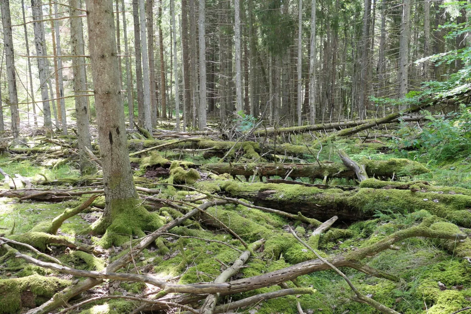 4 sterren vakantie huis in VÄRMDÖ-Niet-getagd