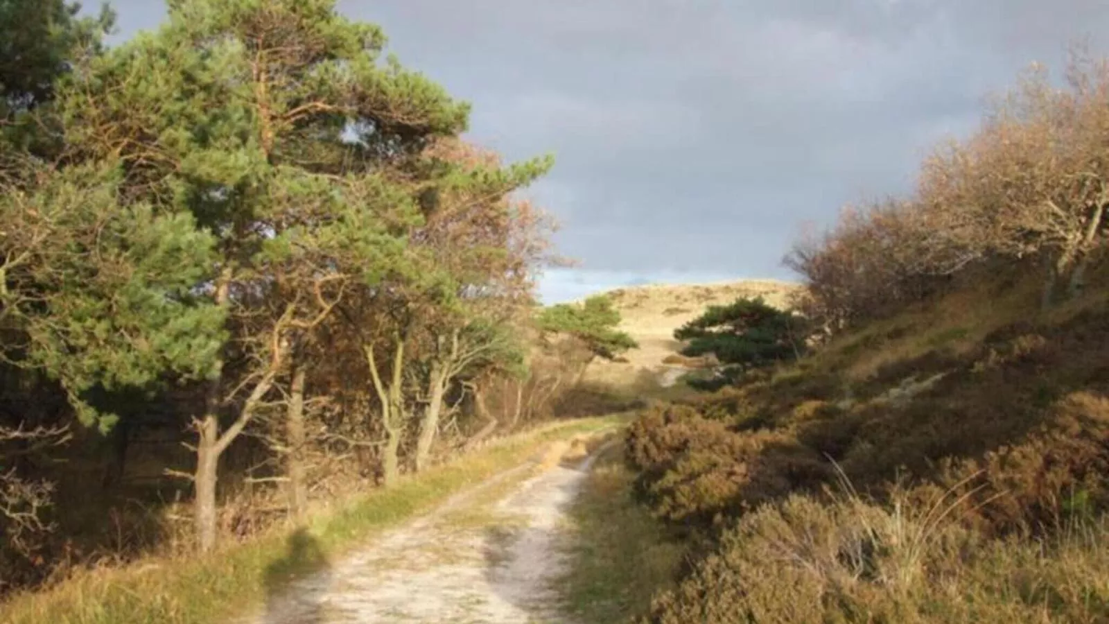 Vlinder-Gebieden zomer 5km