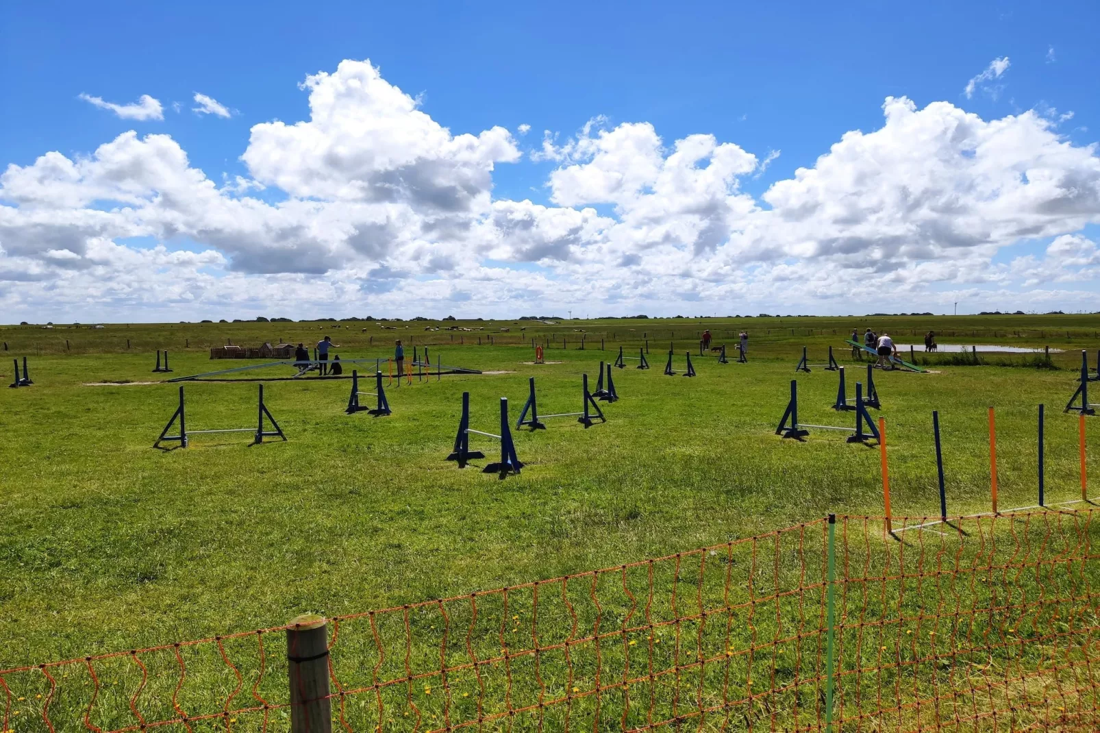 Ferienhaus 06 Marintje-Gebieden zomer 5km