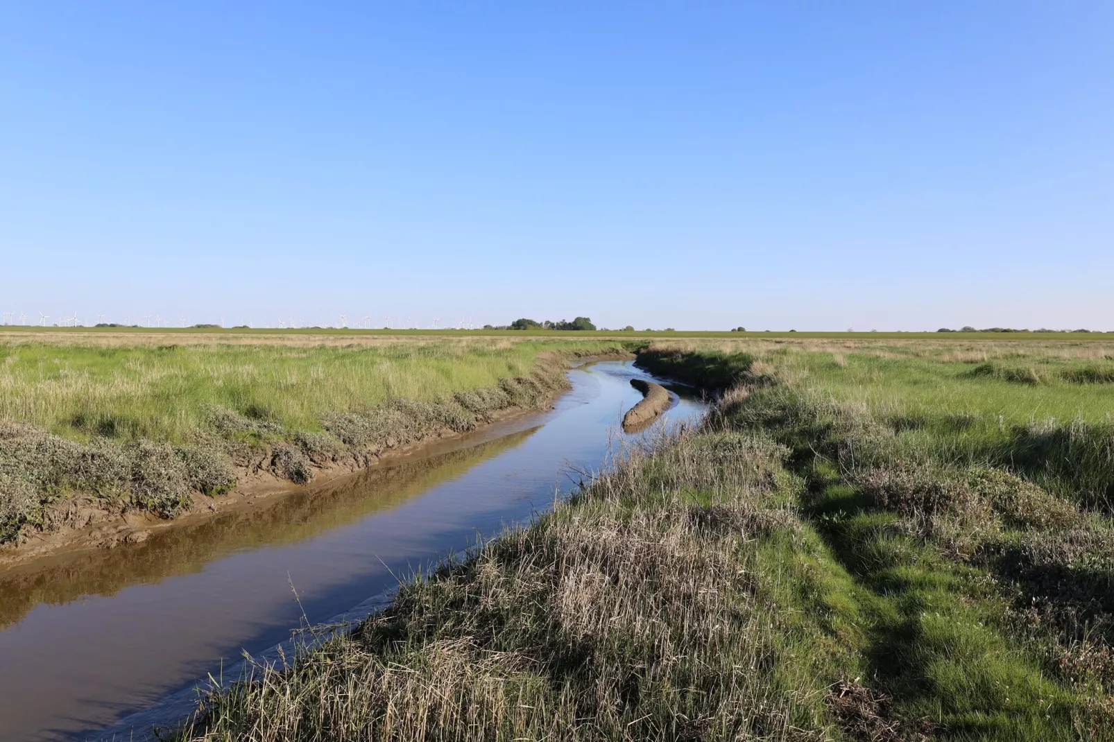 Doppelhaushälfte Nordseerose 125-Gebieden zomer 5km