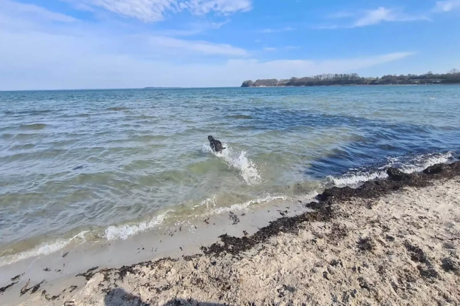 4 sterren vakantie huis in Hejls-By Traum-Waterzicht