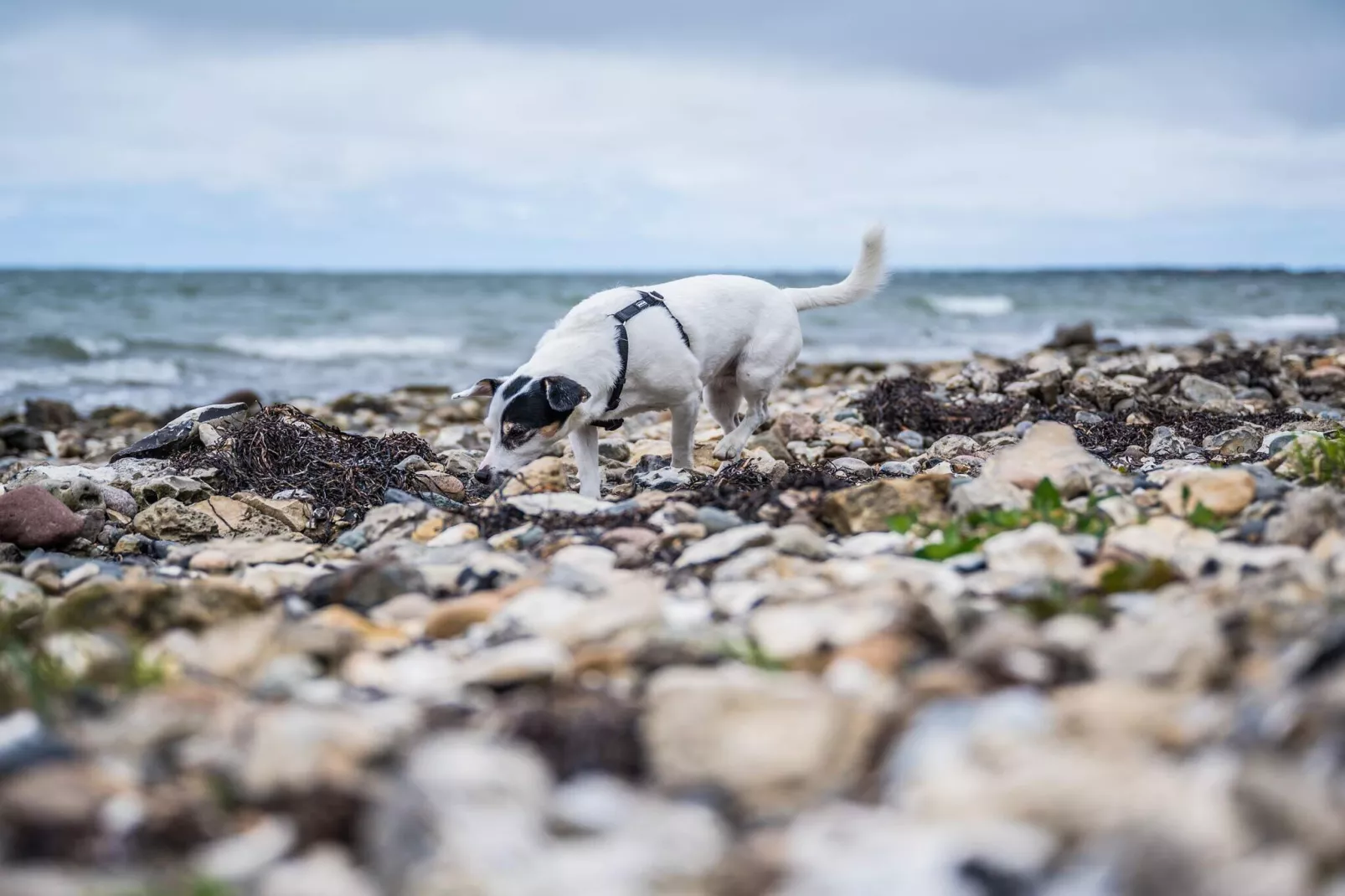4 sterren vakantie huis in Vestervig-By Traum-Waterzicht