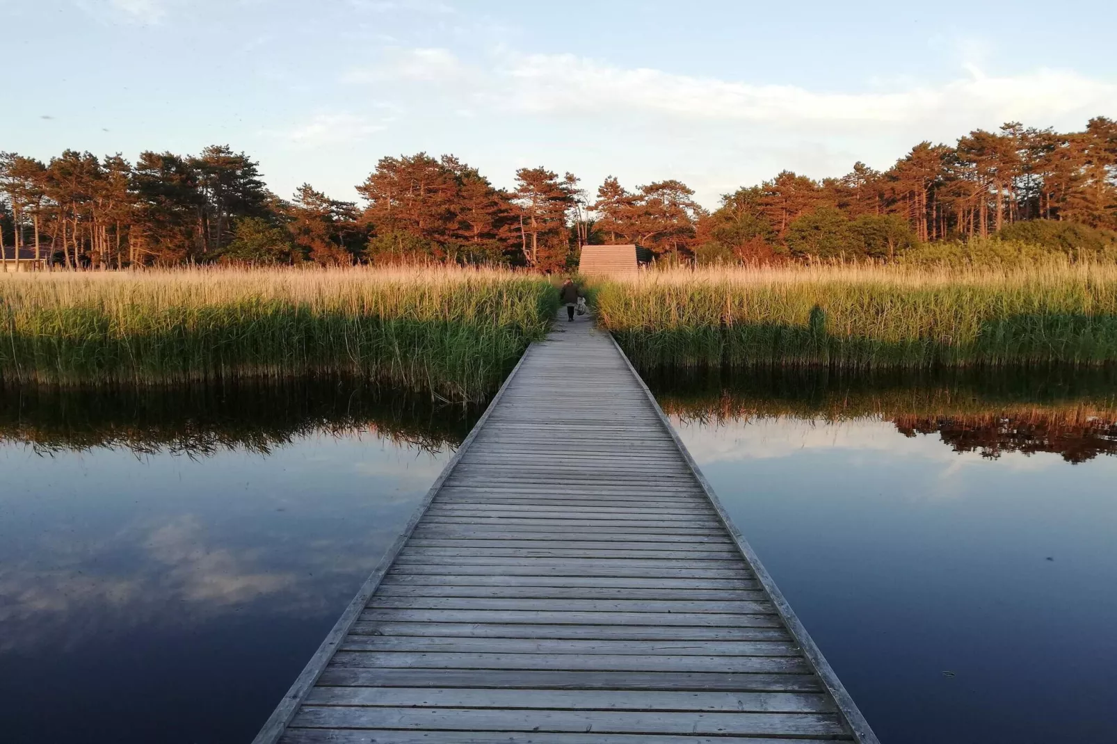 8 Personen vakantie huis in Asnæs-Waterzicht