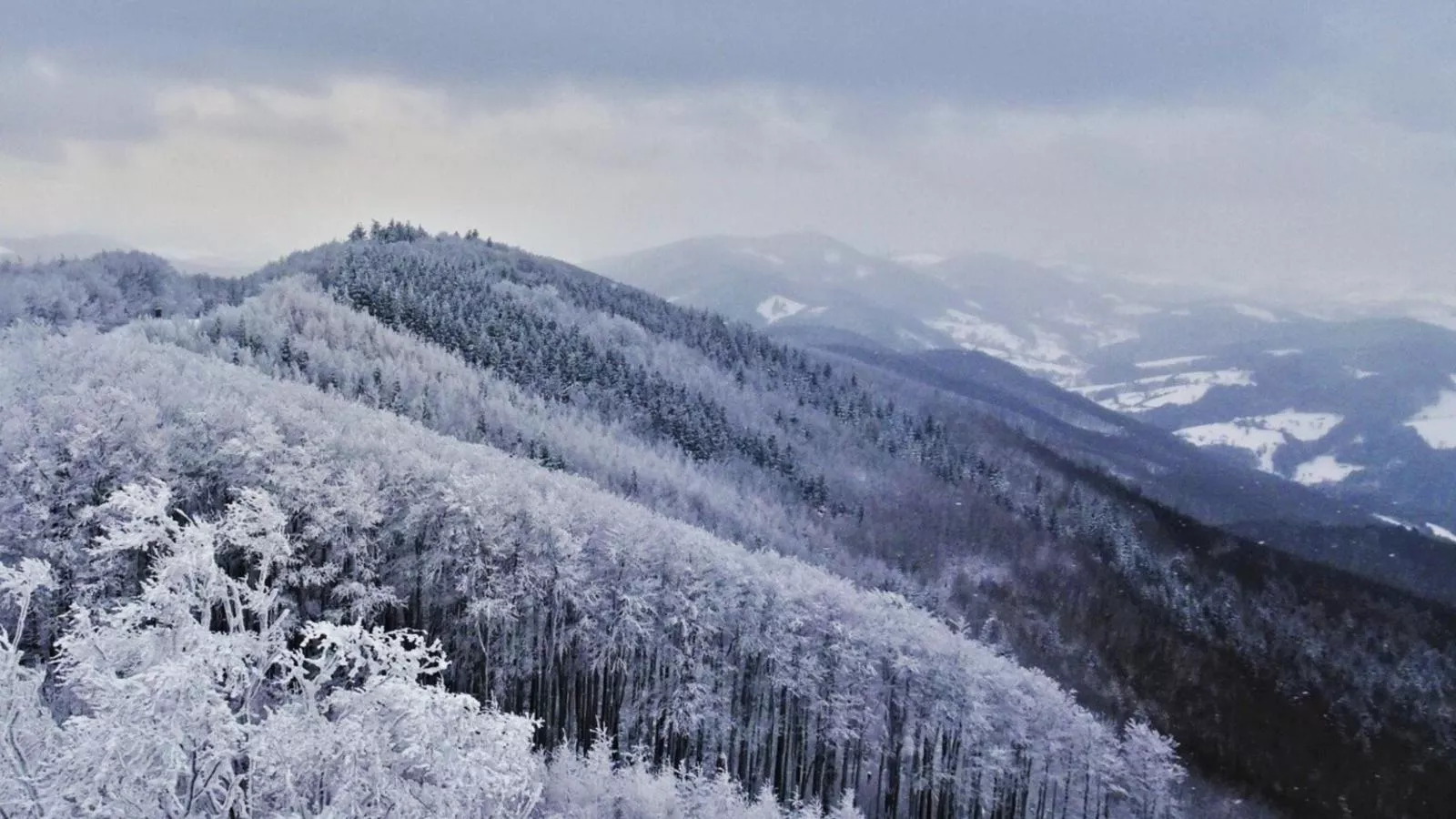 Wienerwaldblick-Gebied winter 20km
