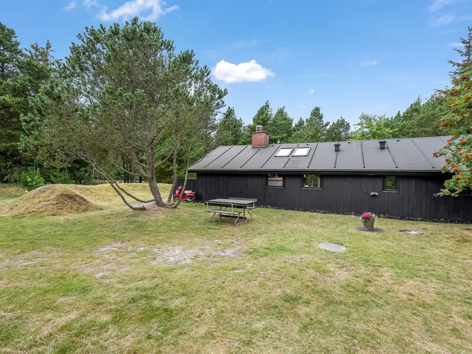 "Regine" - 1.1km to the fjord