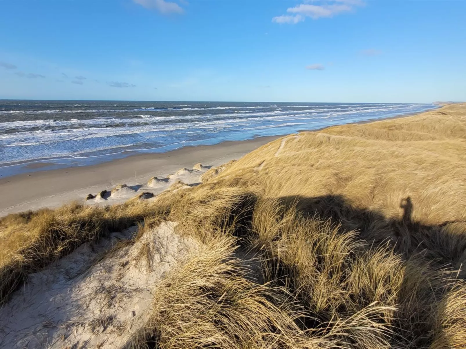 "Heralde" - 60m from the sea