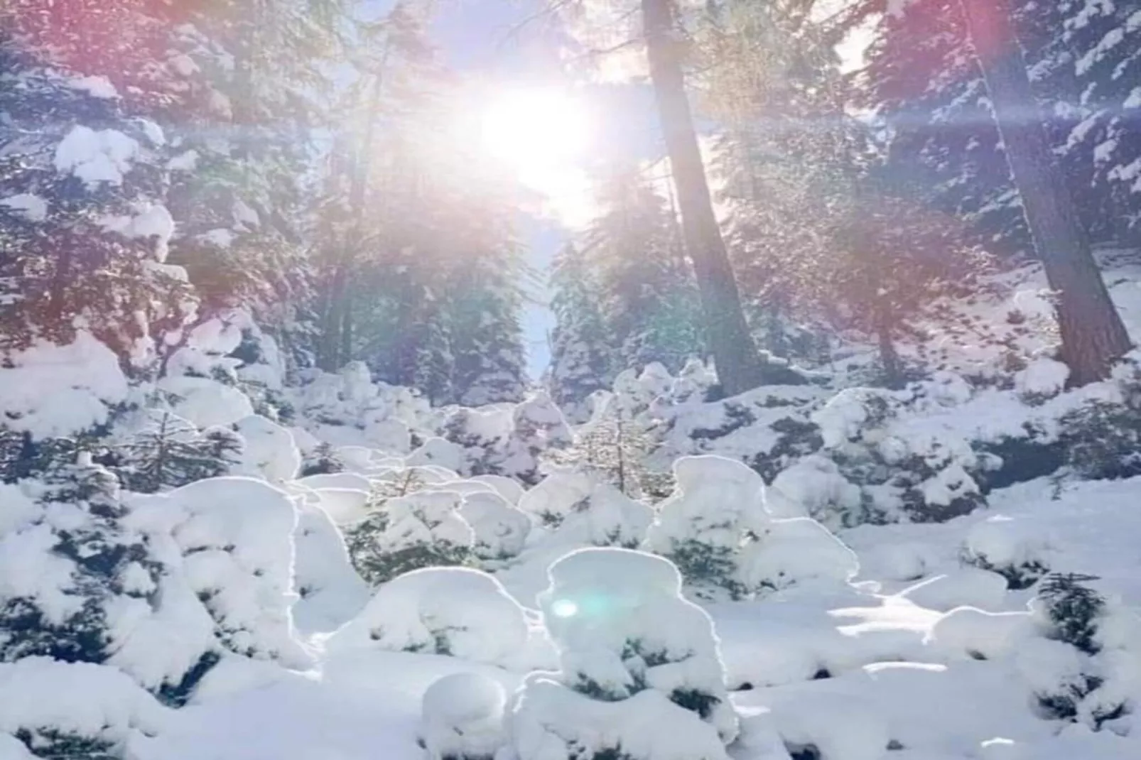 Ferienwohnung Jutta-Gebied winter 20km