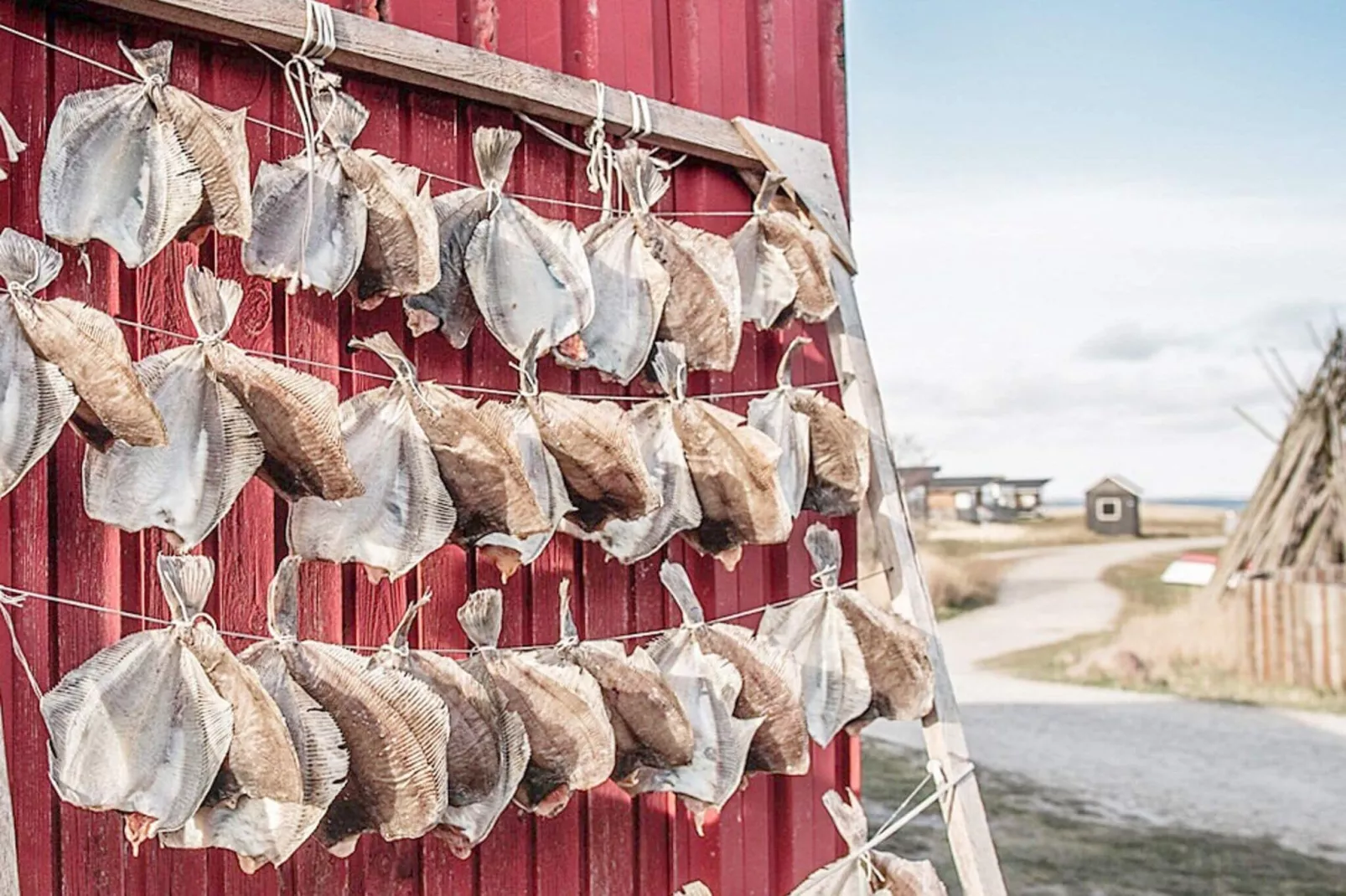 6 persoons vakantie huis in Hvide Sande-By Traum-Niet-getagd