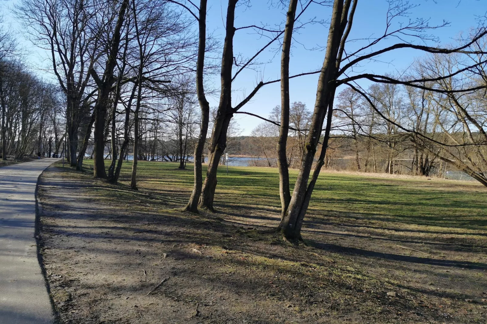 Luxus-Familienappartement / 4 Personen - Gebieden zomer 1km
