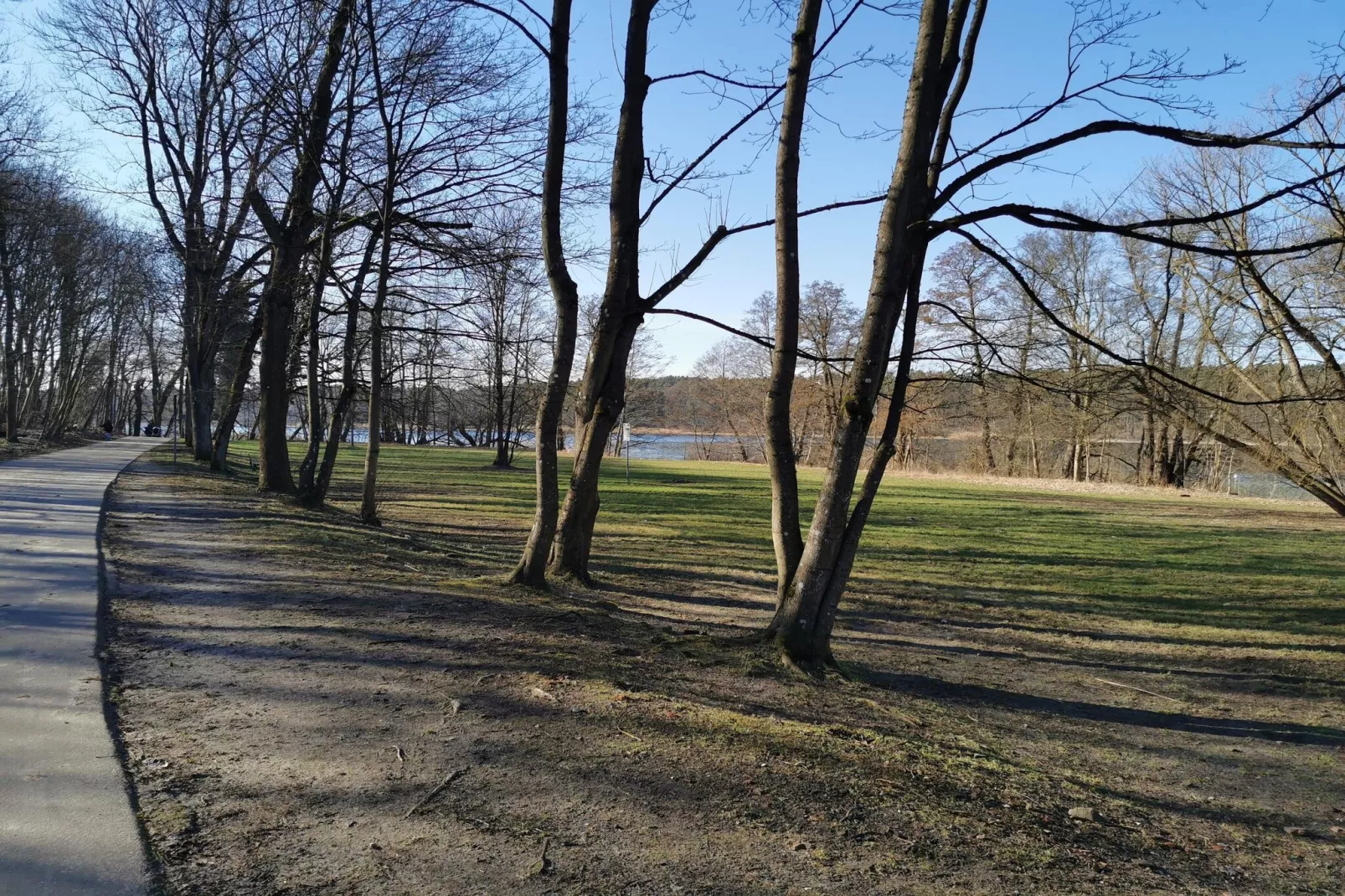 Luxus-Familienappartement / 3 Personen - Gebieden zomer 1km