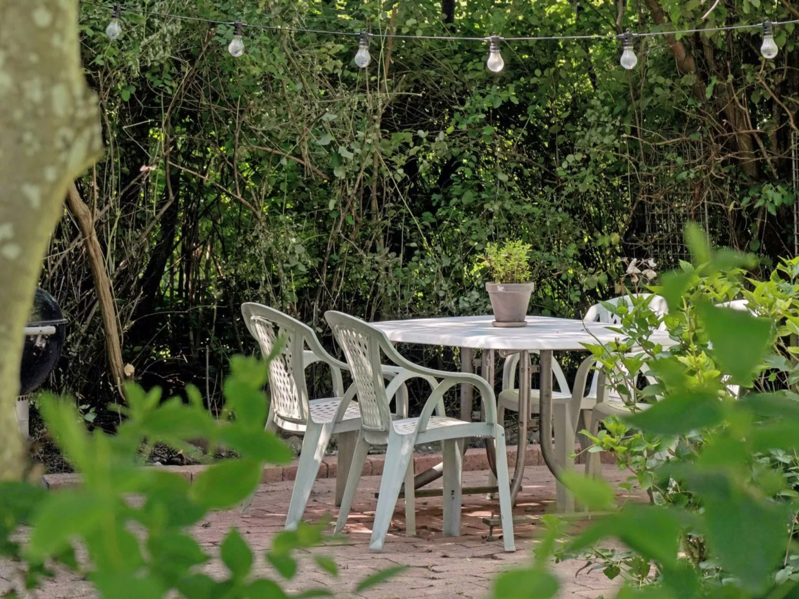 "Arto" - 325m from the sea