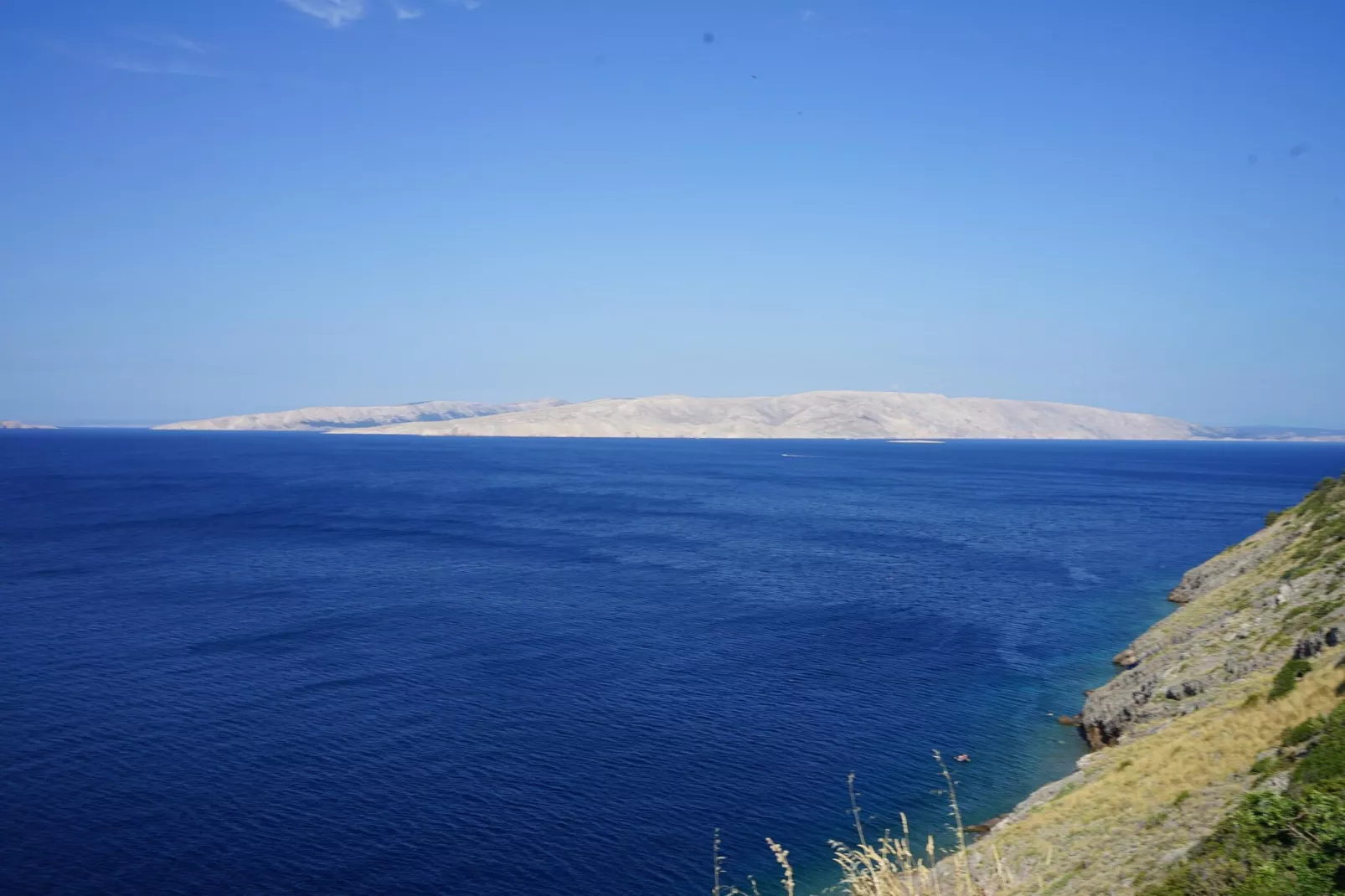 Niko 1-Gebieden zomer 1km