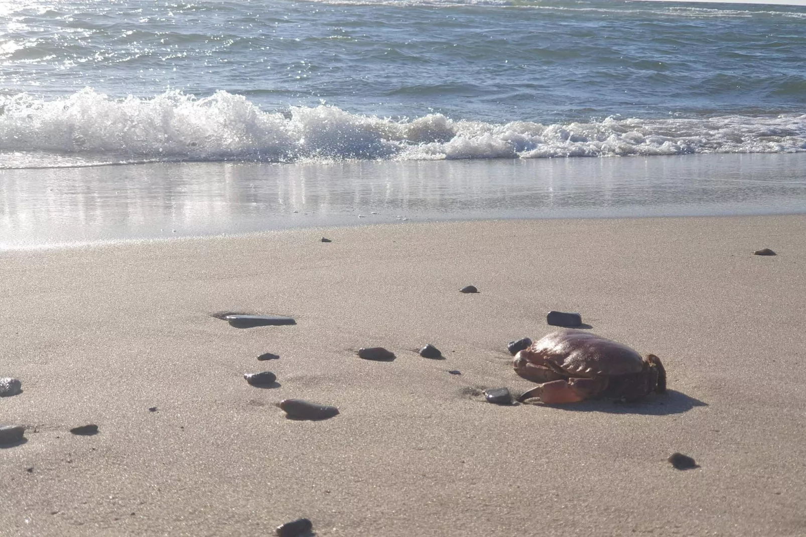 5 sterren vakantie huis in Ringkøbing-Waterzicht