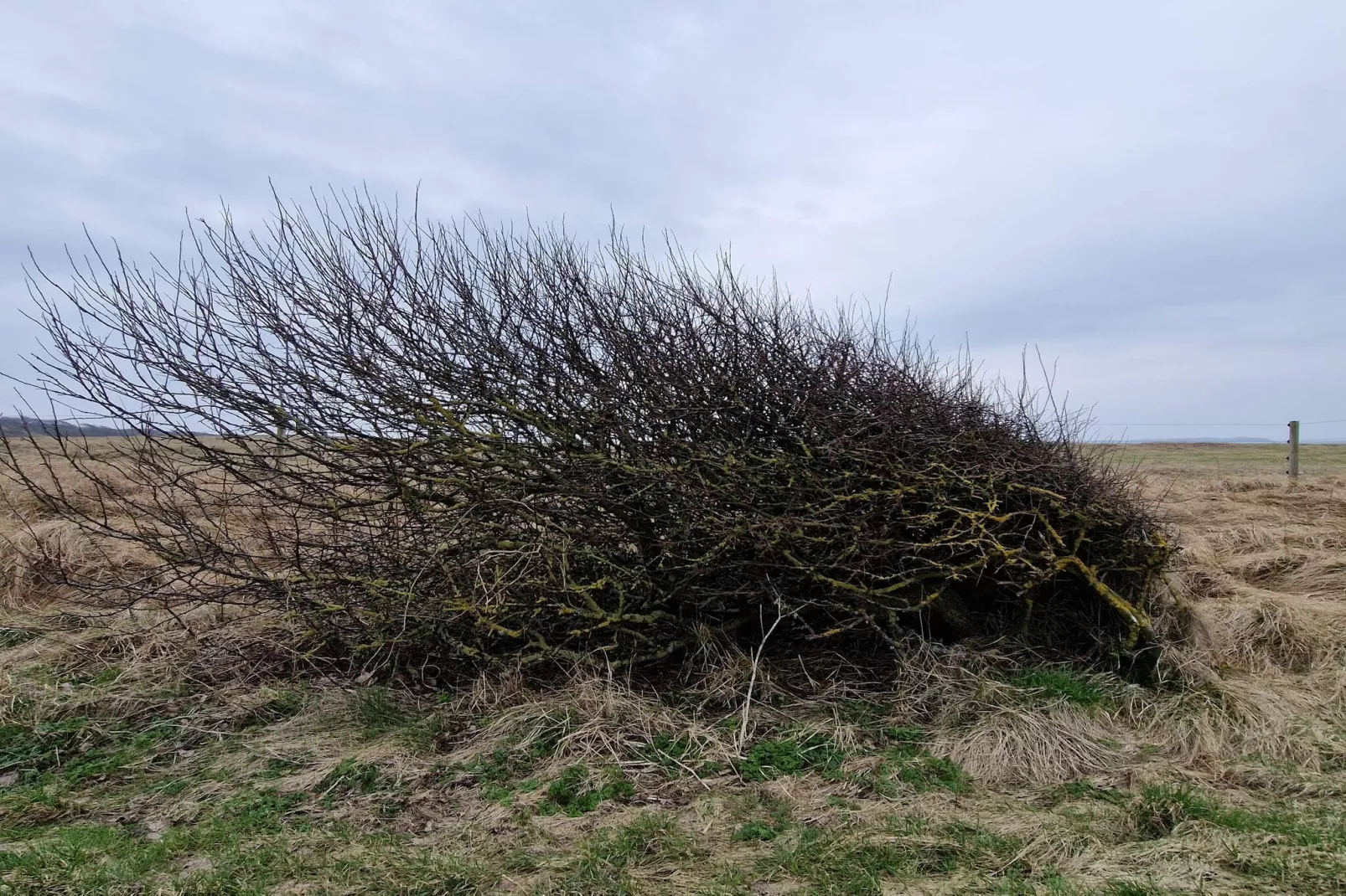 2 Personen vakantie huis in Grenaa-Niet-getagd