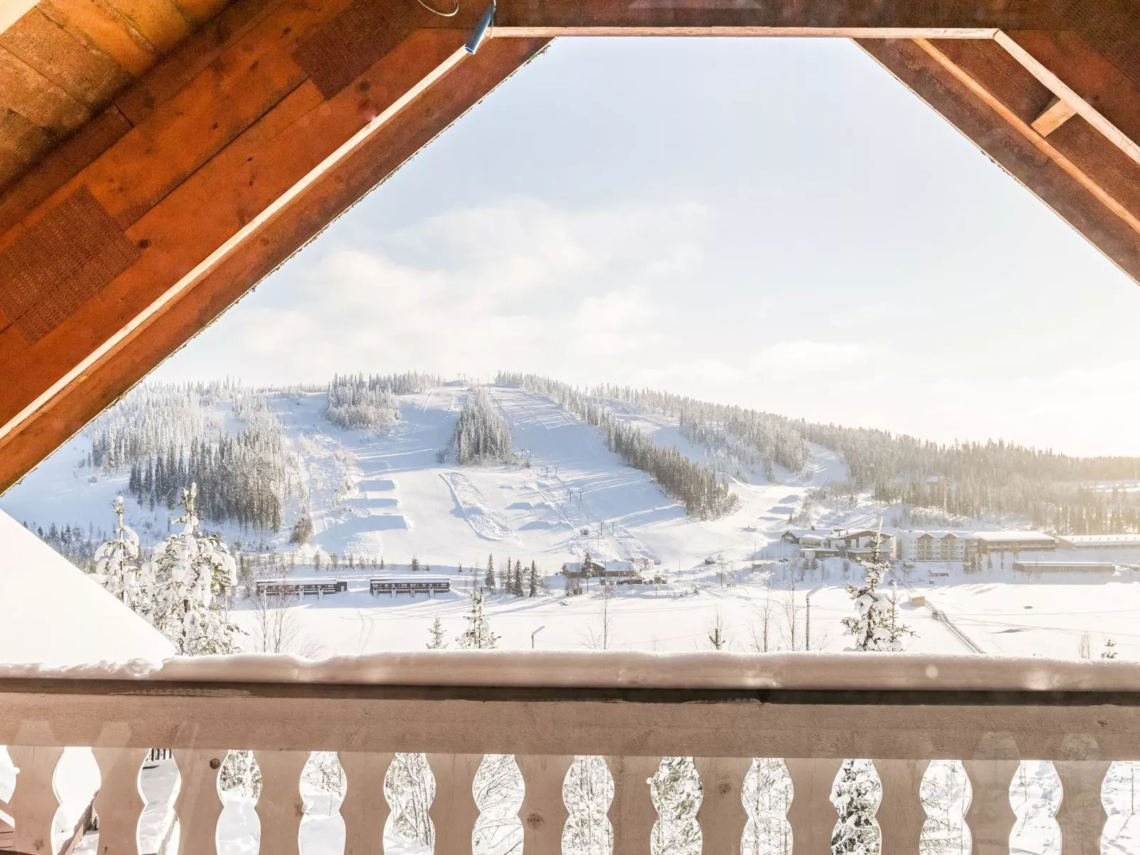 Alppikylä 3a paritalo