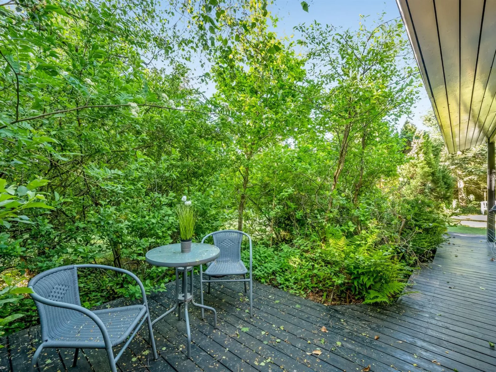 "Tenaya" - 200m to the fjord