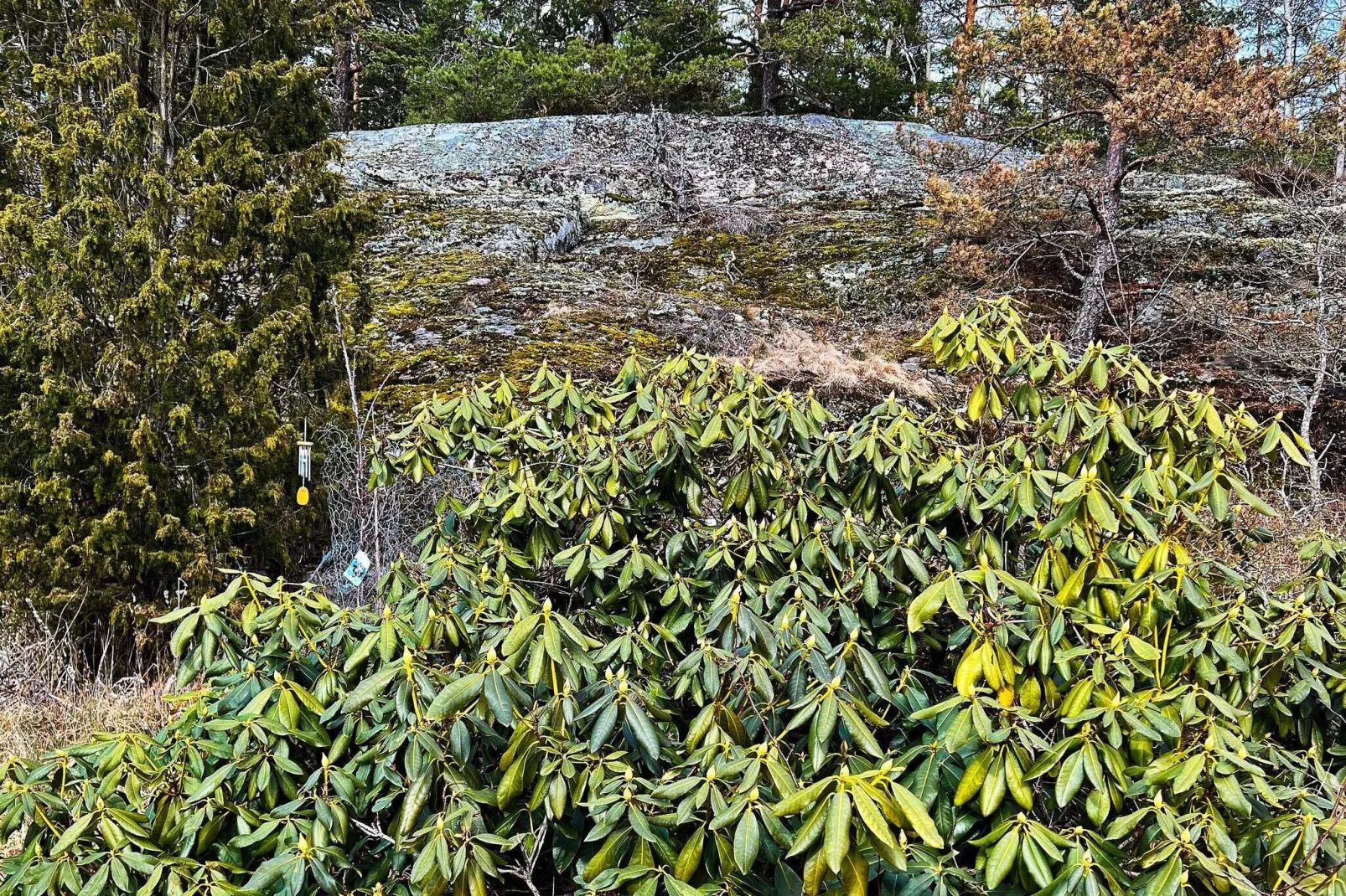 6 persoons vakantie huis in TYRESÖ-By Traum-Buitenlucht