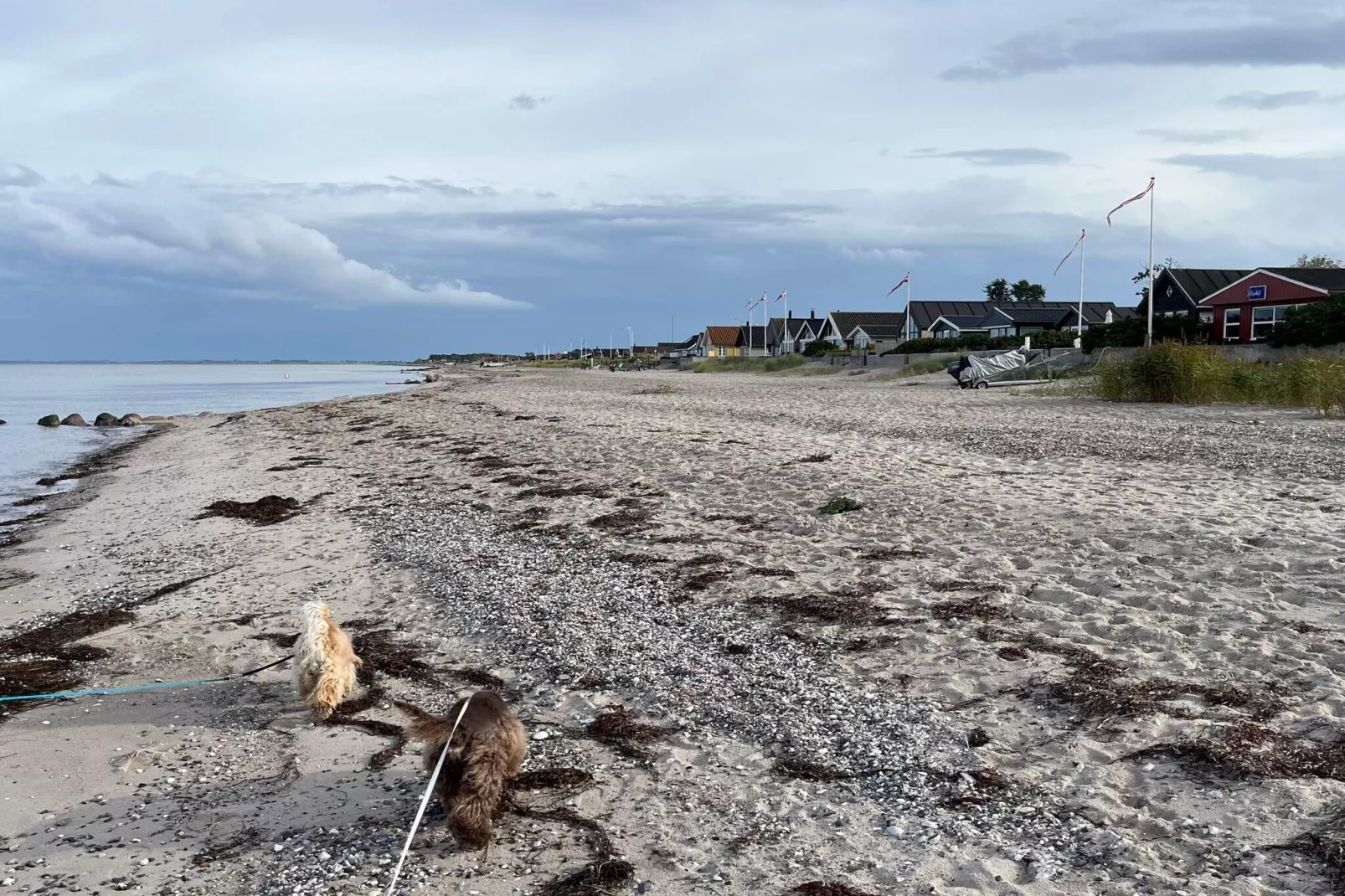 8 Personen vakantie huis in Otterup-Waterzicht