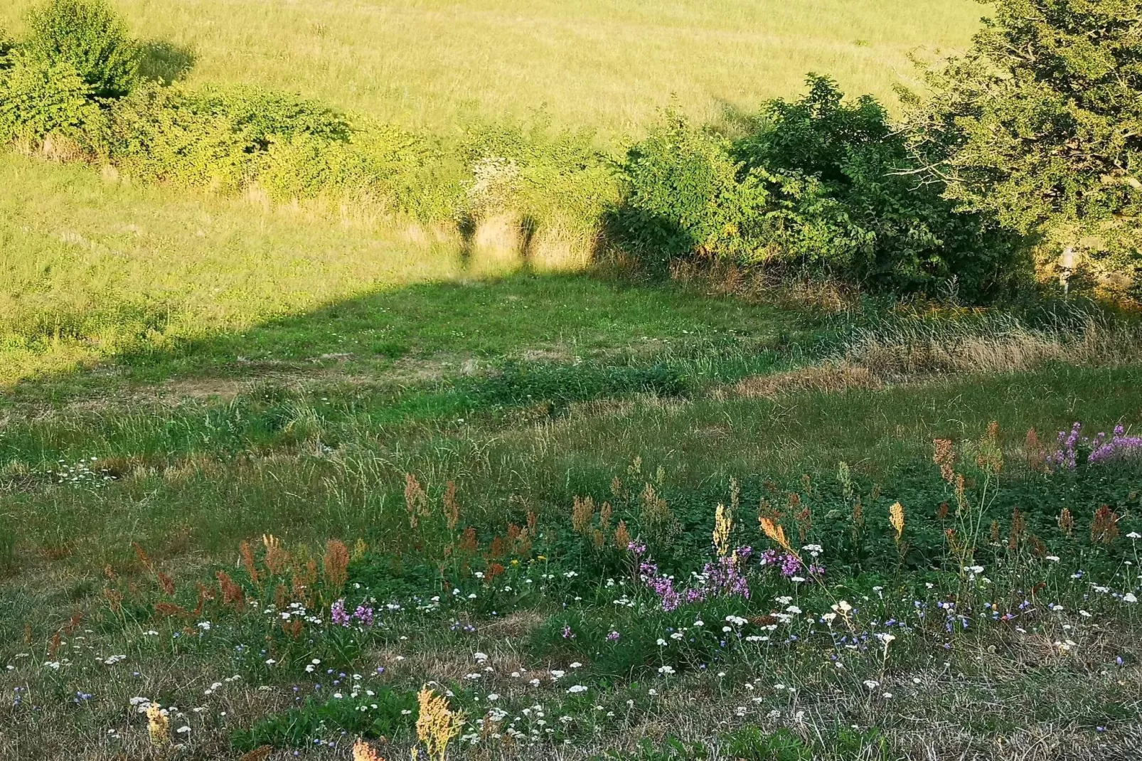 7 Personen vakantie huis in Asnæs-Niet-getagd