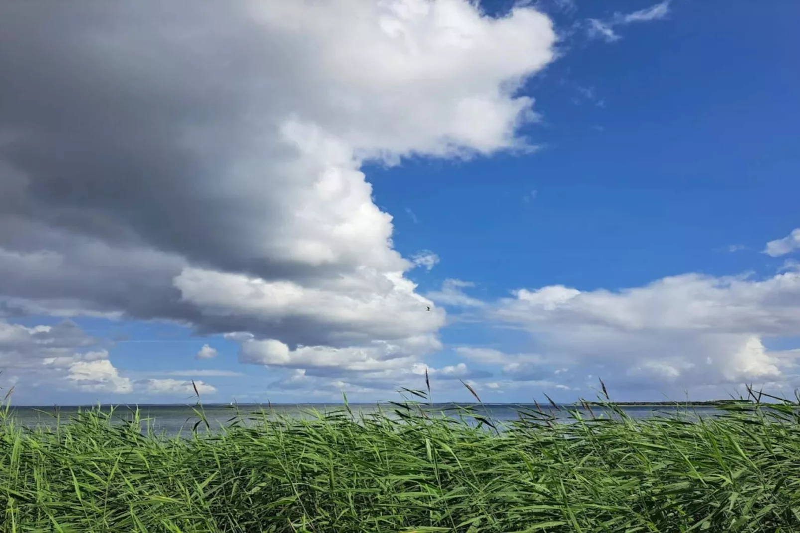 4 sterren vakantie huis in Haderslev-Waterzicht