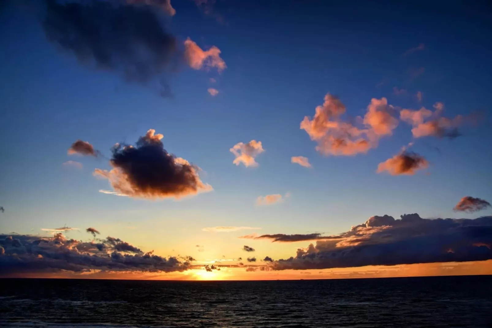 Familienhaus - Haus Sonne - Strandhotel Fischland-Gebieden zomer 5km