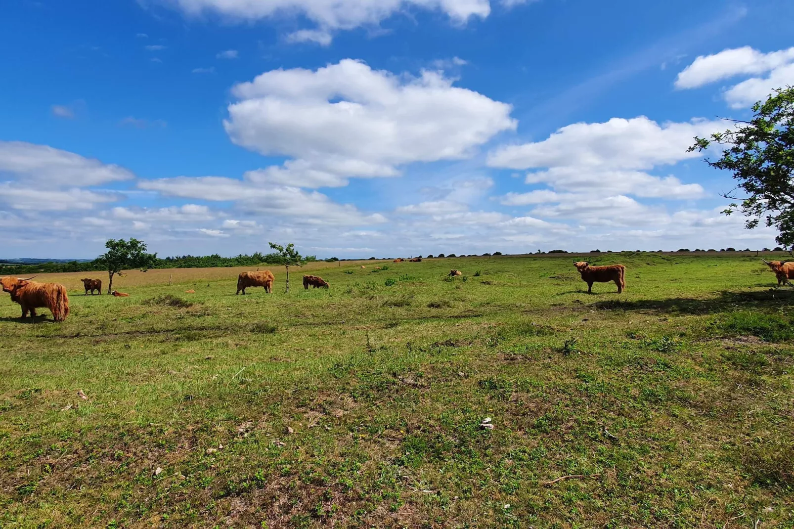 5 sterren vakantie huis in Farsø-Niet-getagd