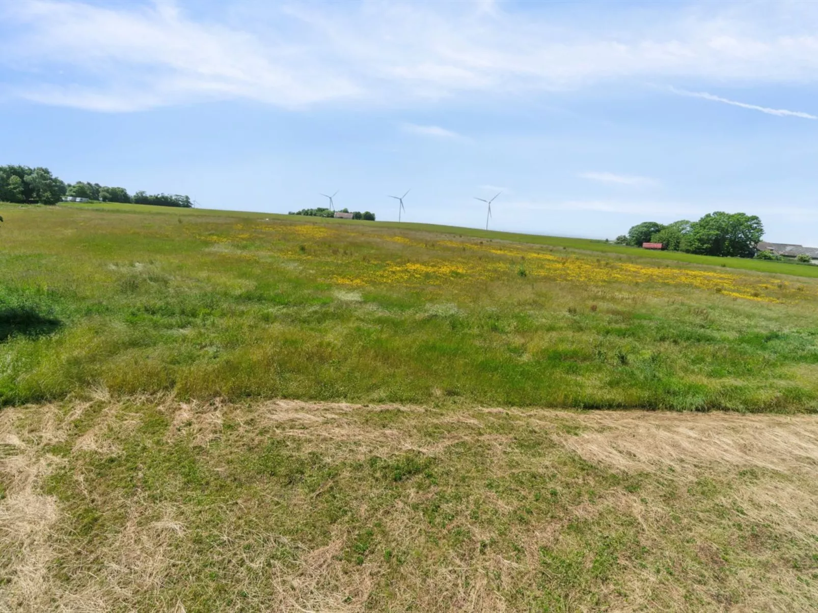 "Lacey" - 4km from the sea