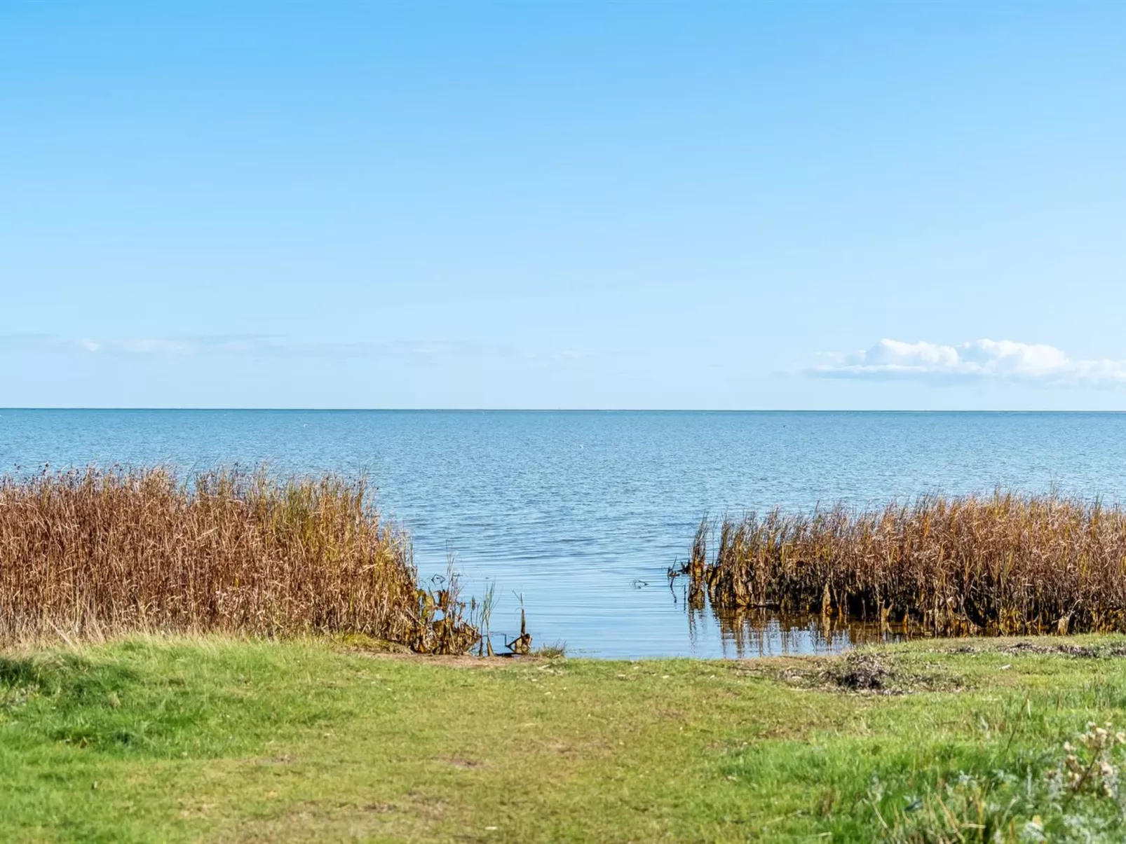 "Devis" -  from the sea