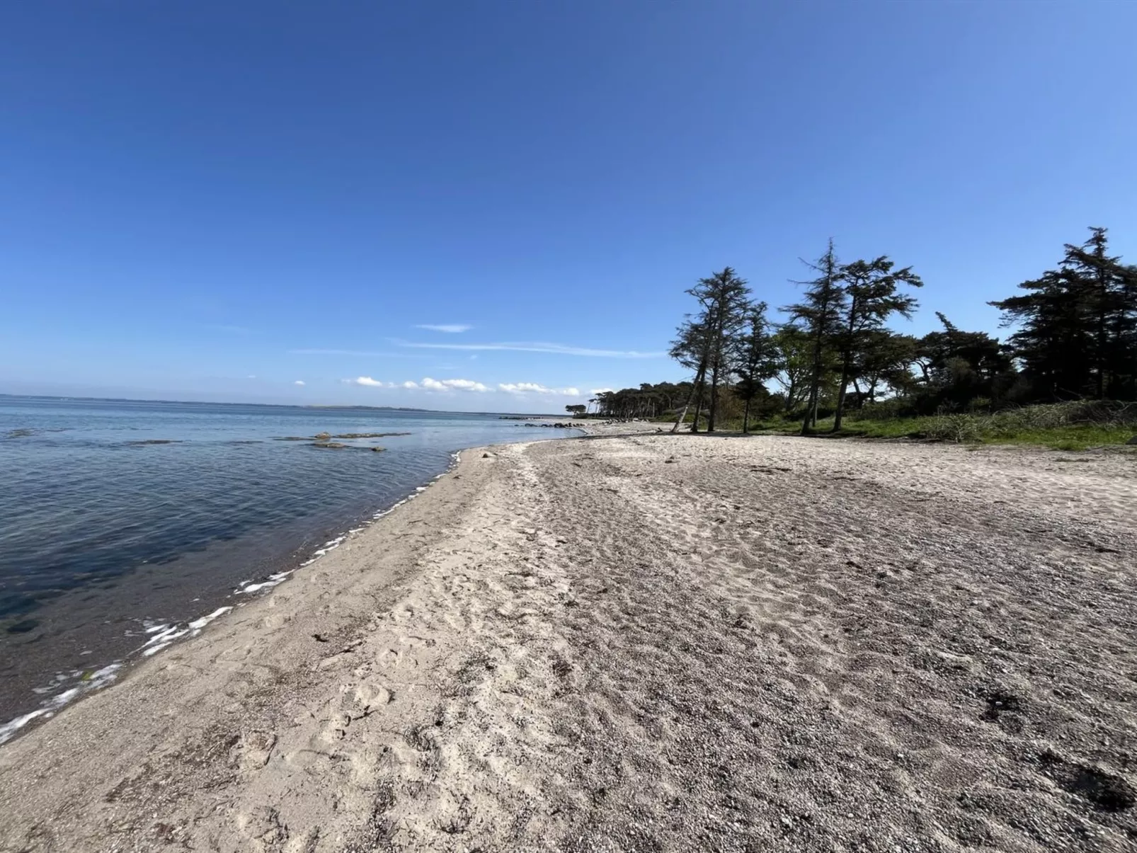 "Kjell" - 25m from the sea