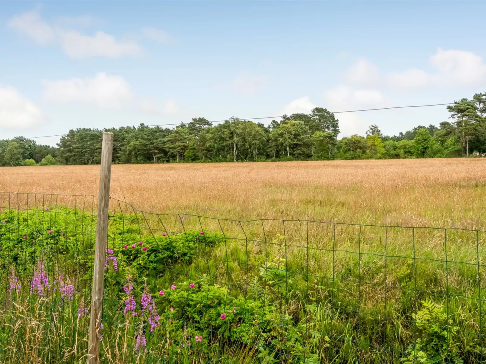 "Thine" - 800m from the sea-Buiten