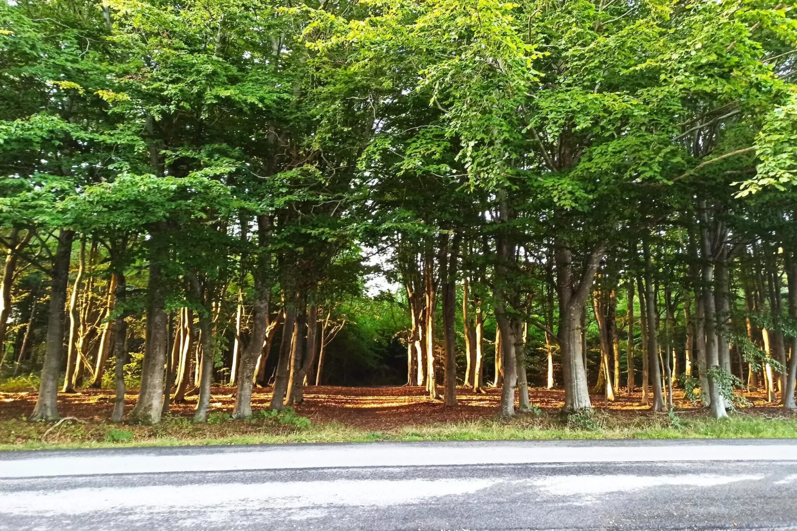 4 sterren vakantie huis in Brønderslev-Niet-getagd