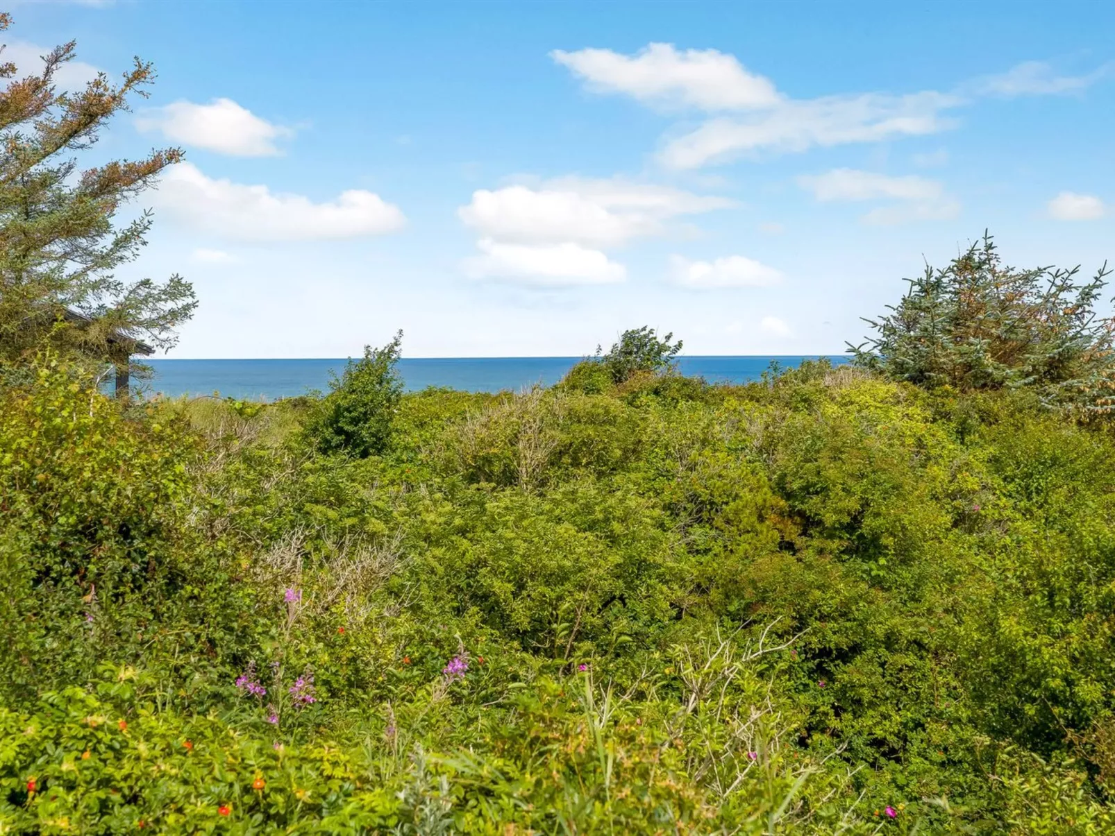 "Nikolce" - 500m from the sea