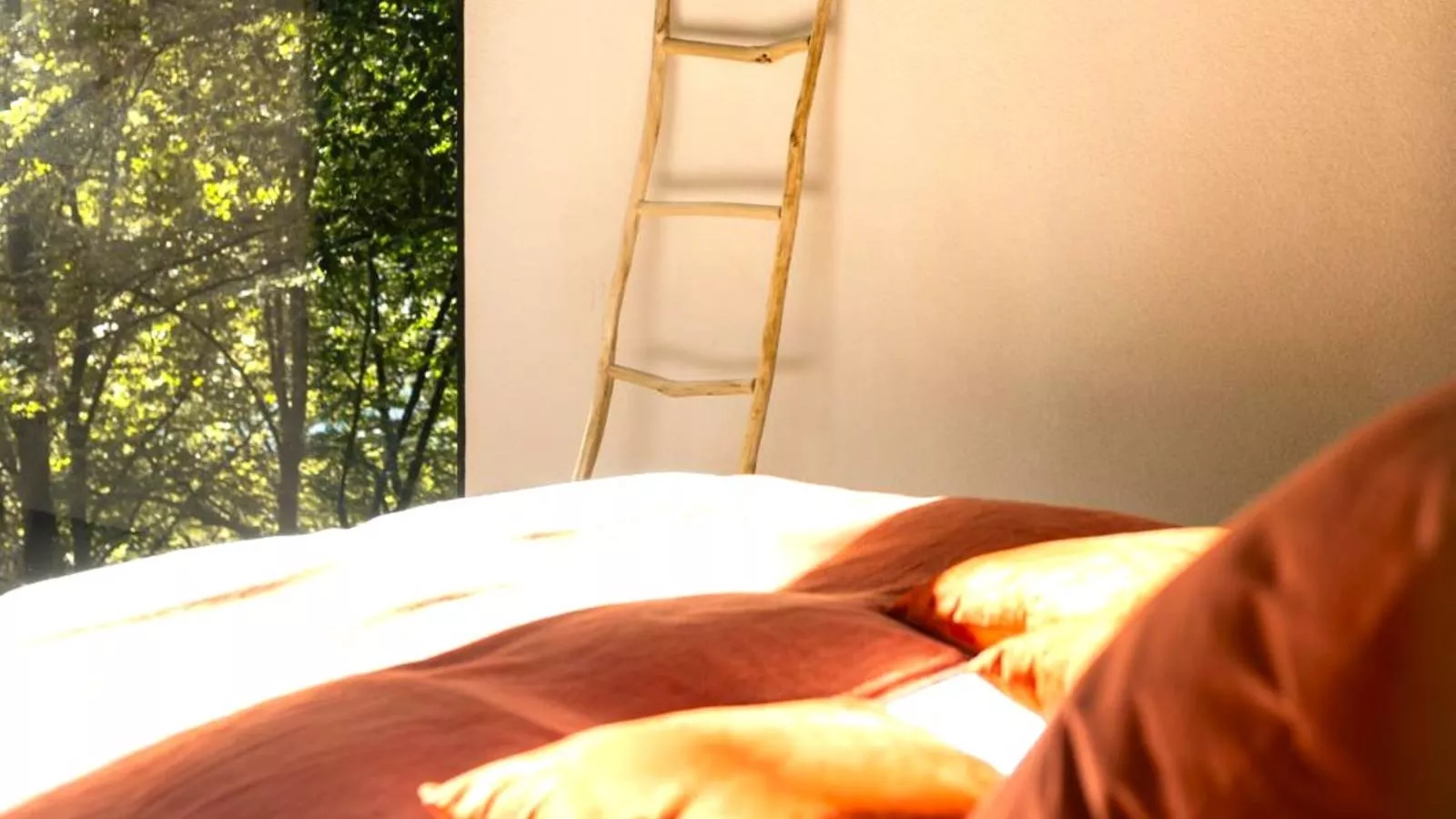 Cabane dans les arbres