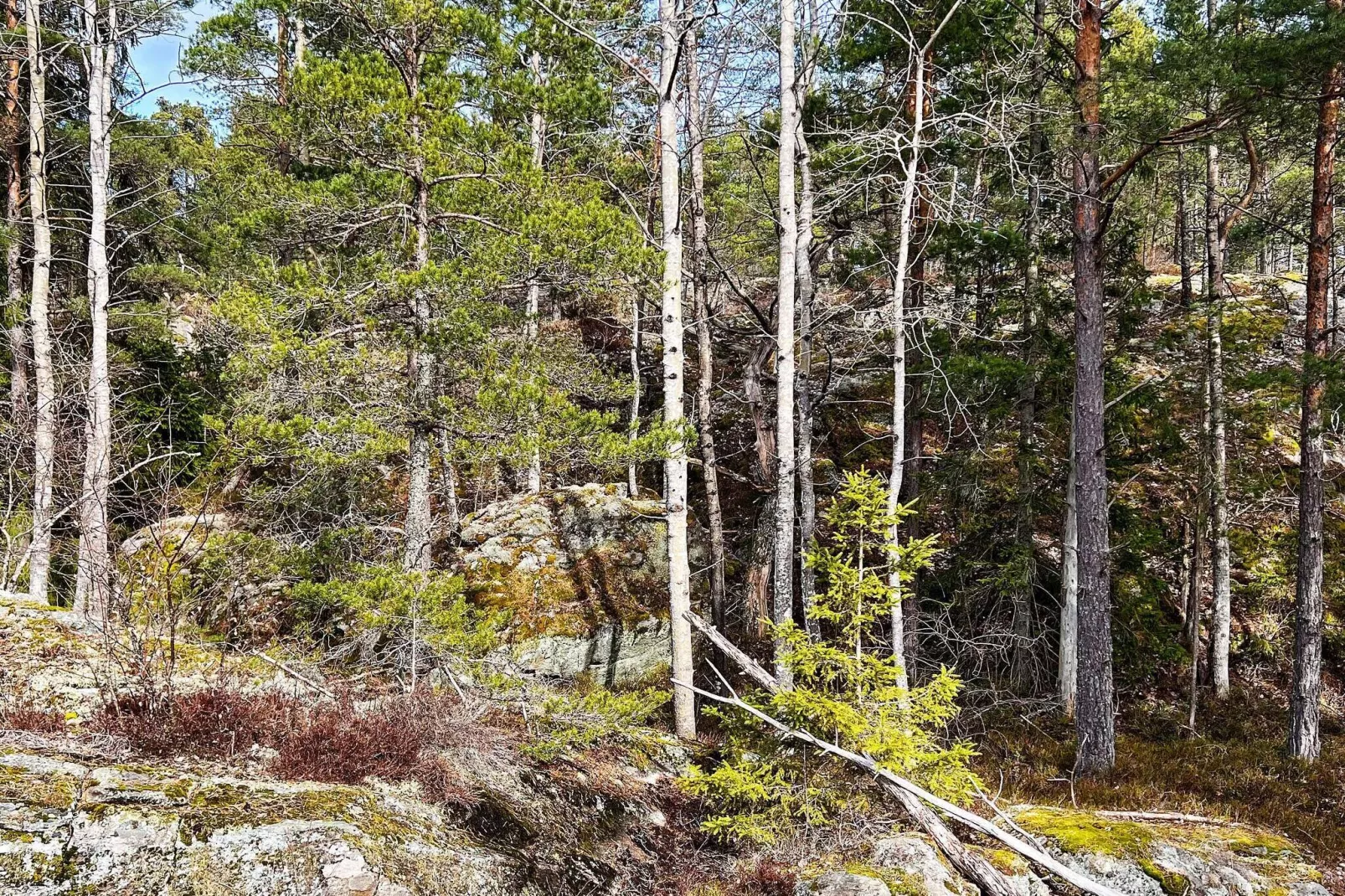 6 persoons vakantie huis in TYRESÖ-By Traum-Niet-getagd