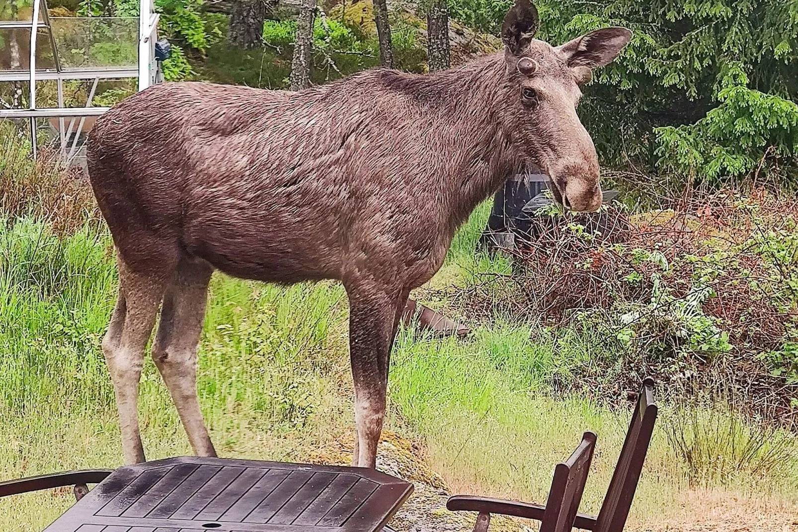 6 persoons vakantie huis in TYRESÖ-By Traum-Niet-getagd