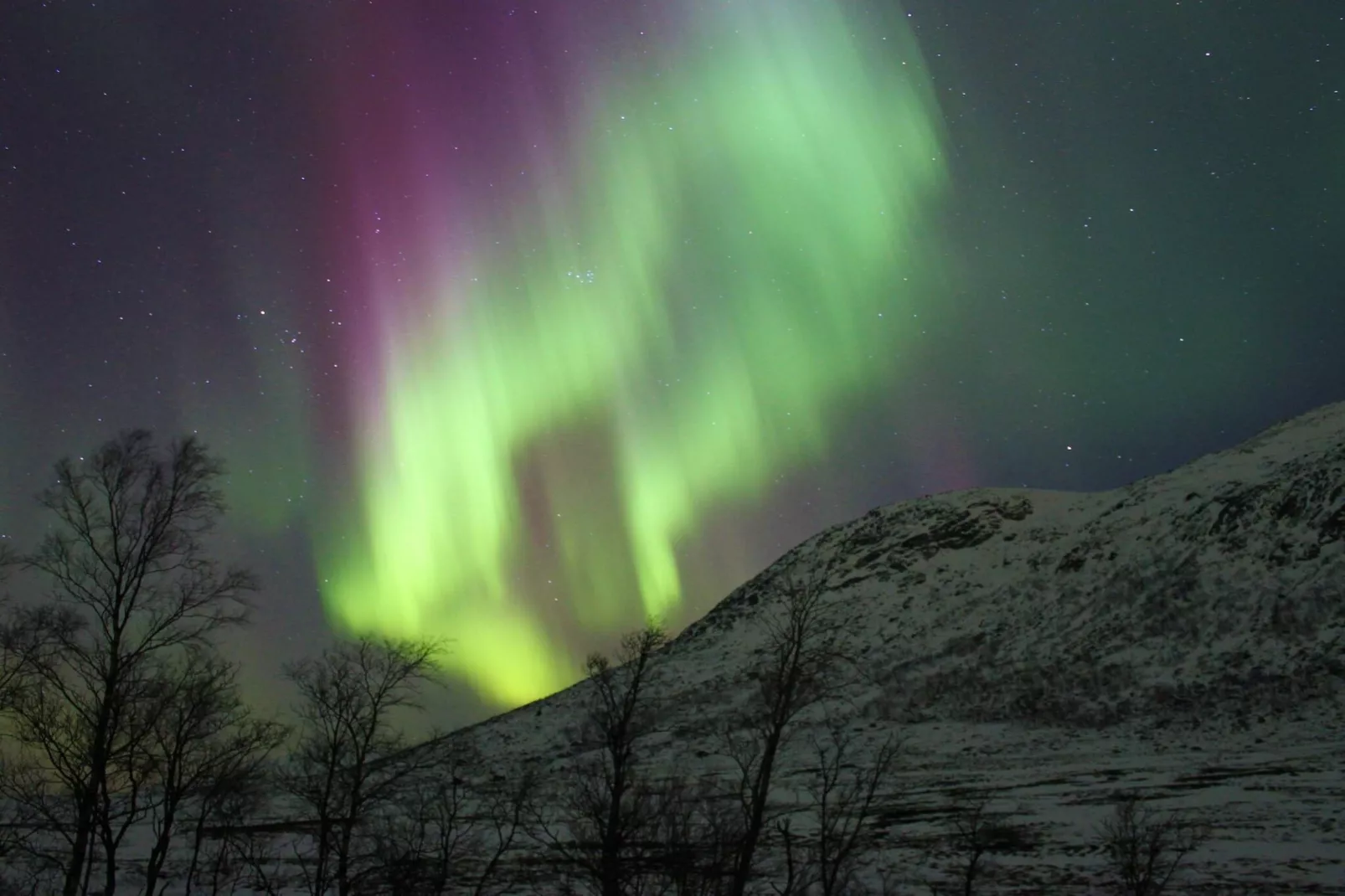 8 Personen vakantie huis in Mølnarodden