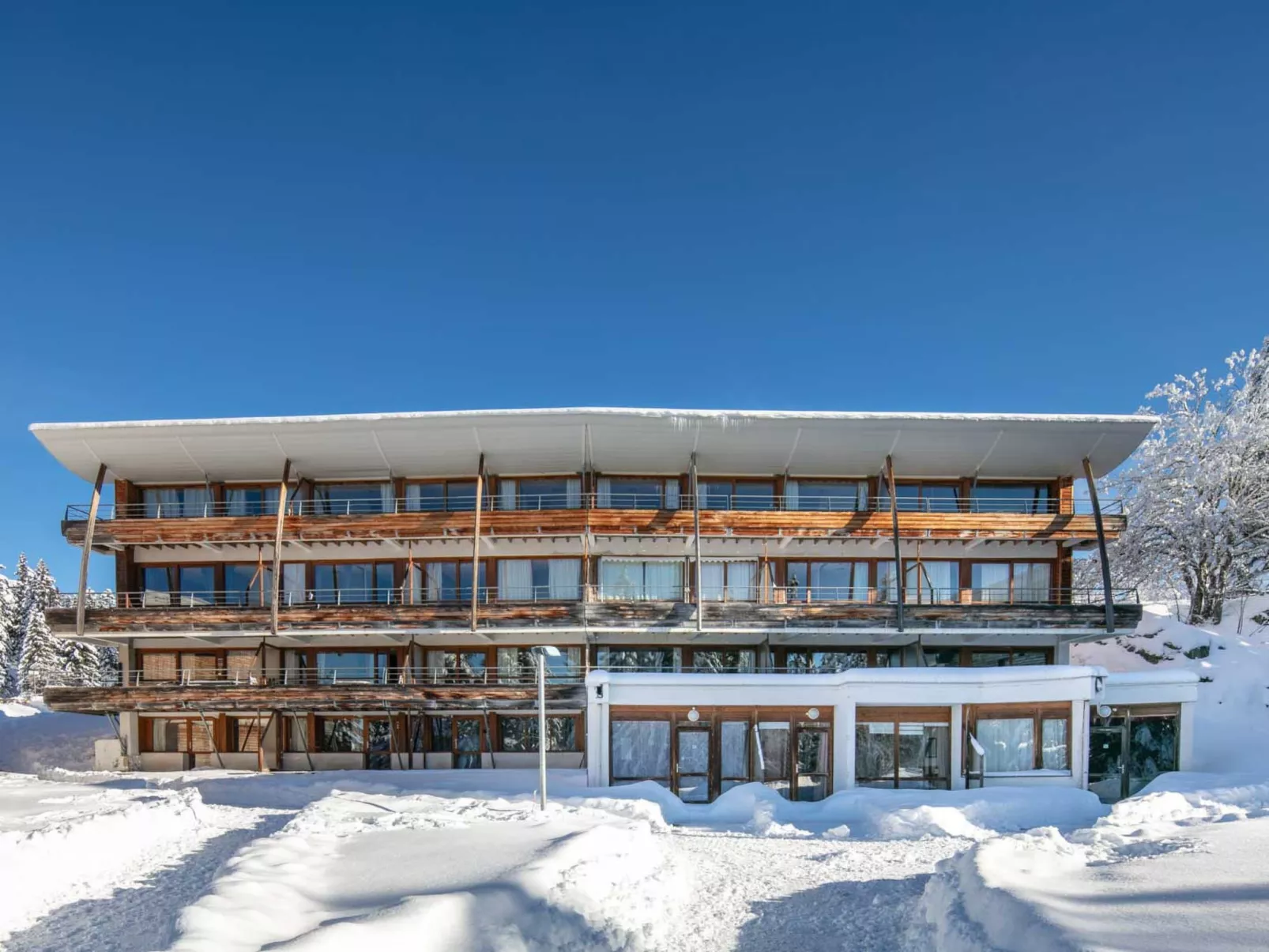 V du Bachat Silene D