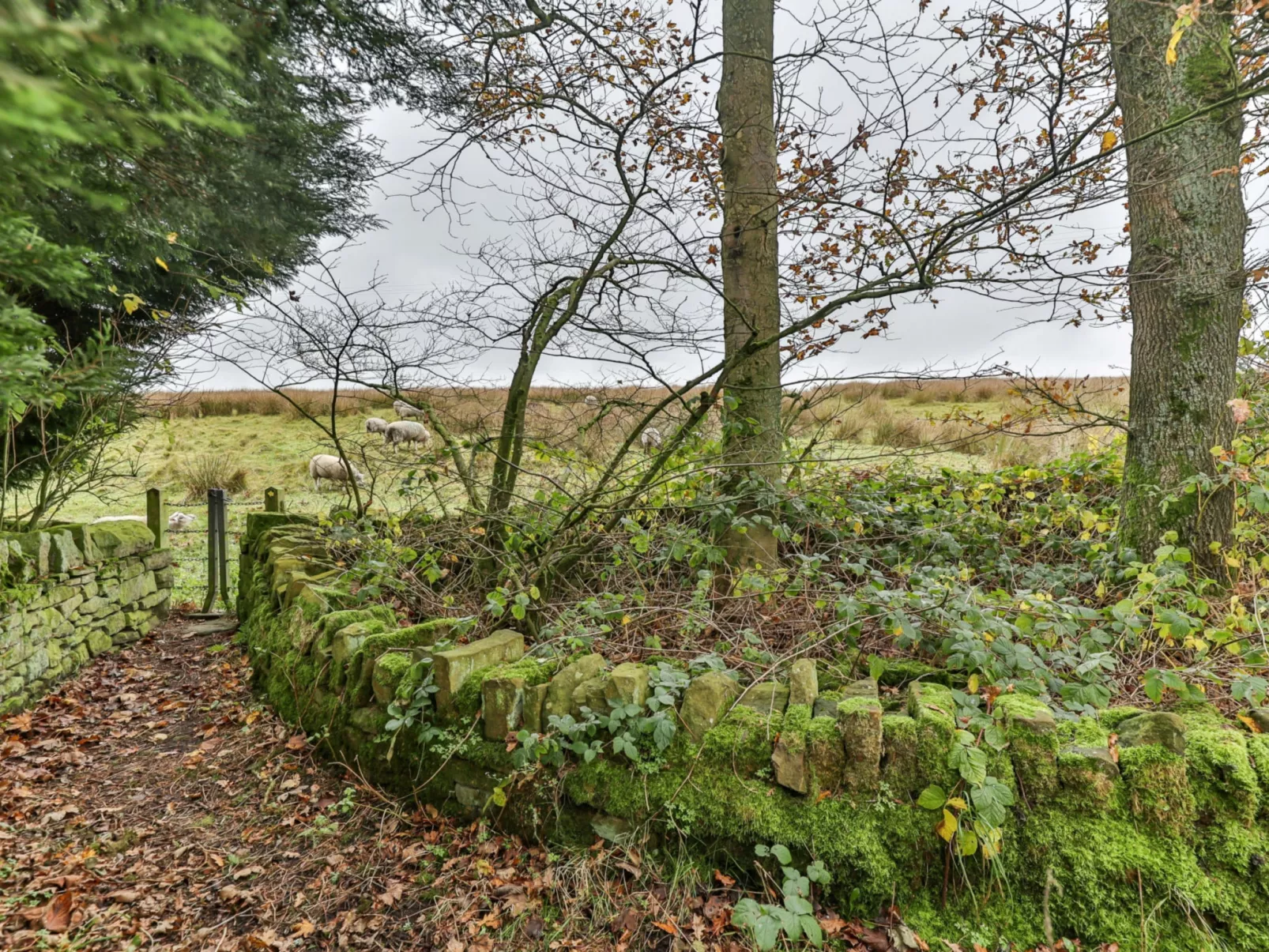 Middle Warble Stables