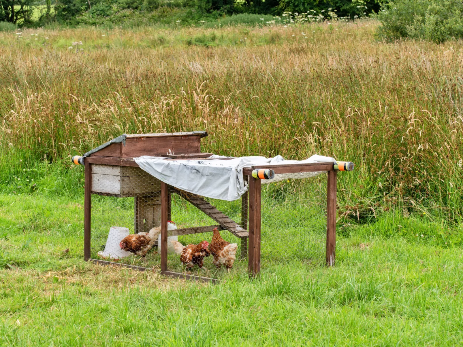 Oak Lotus Belle Tent