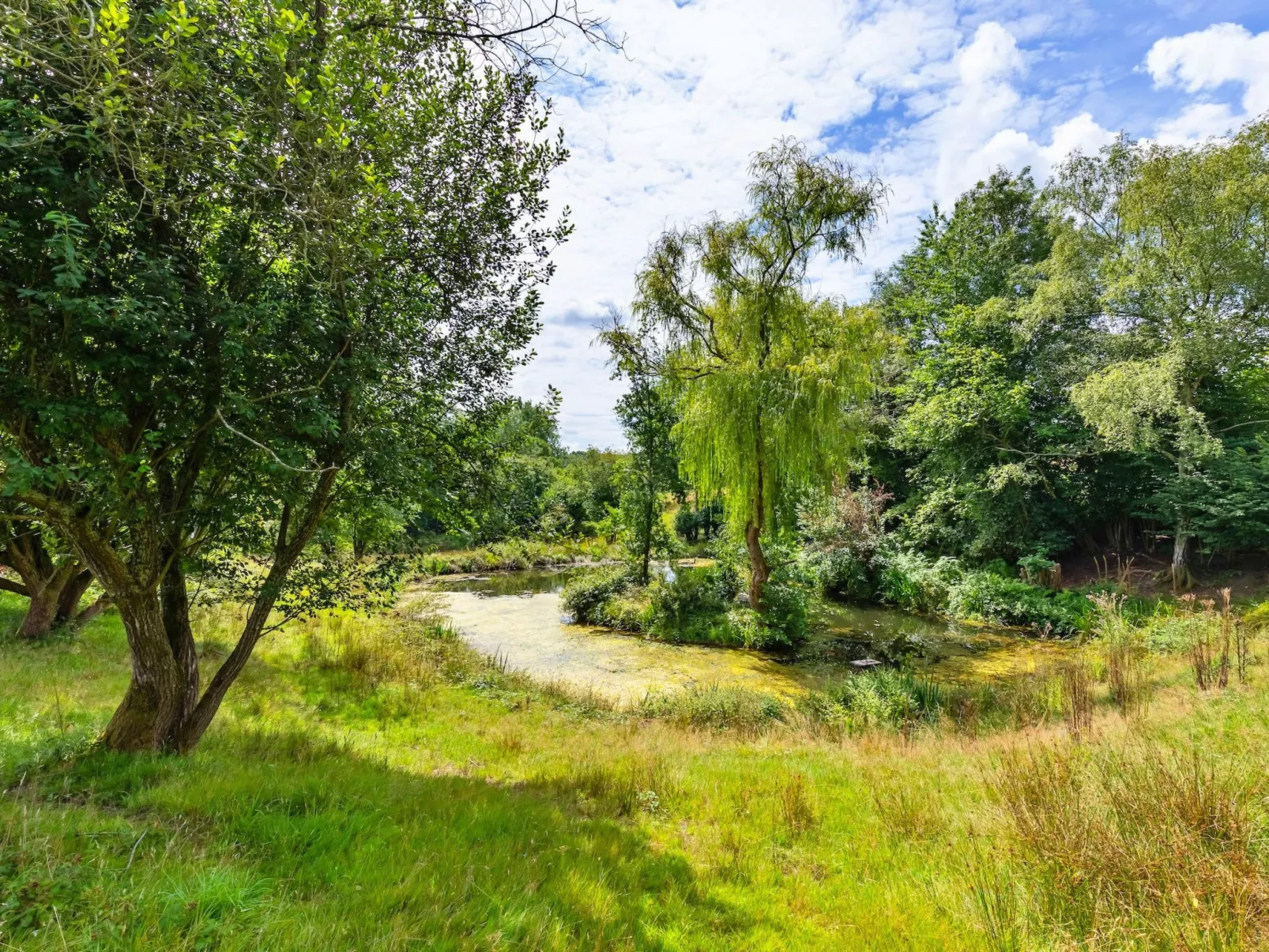 Sandhill Cottage with Hot Tub