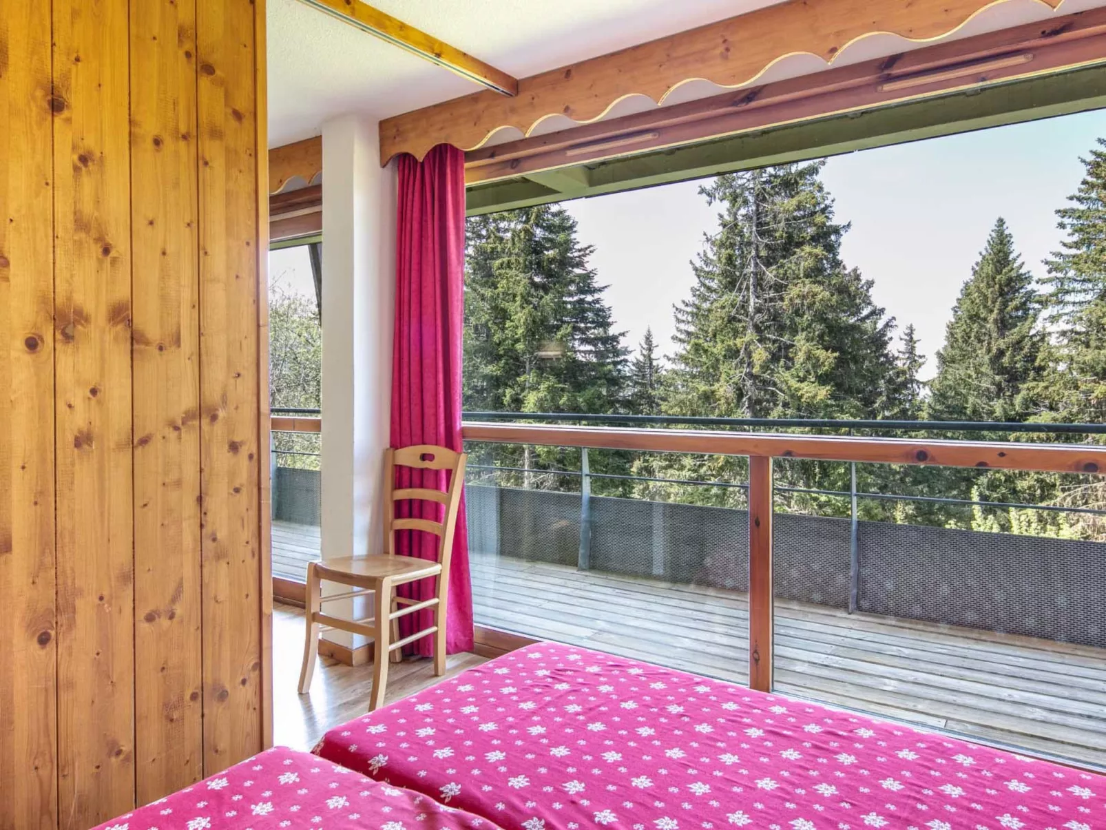 V du Bachat Asters E