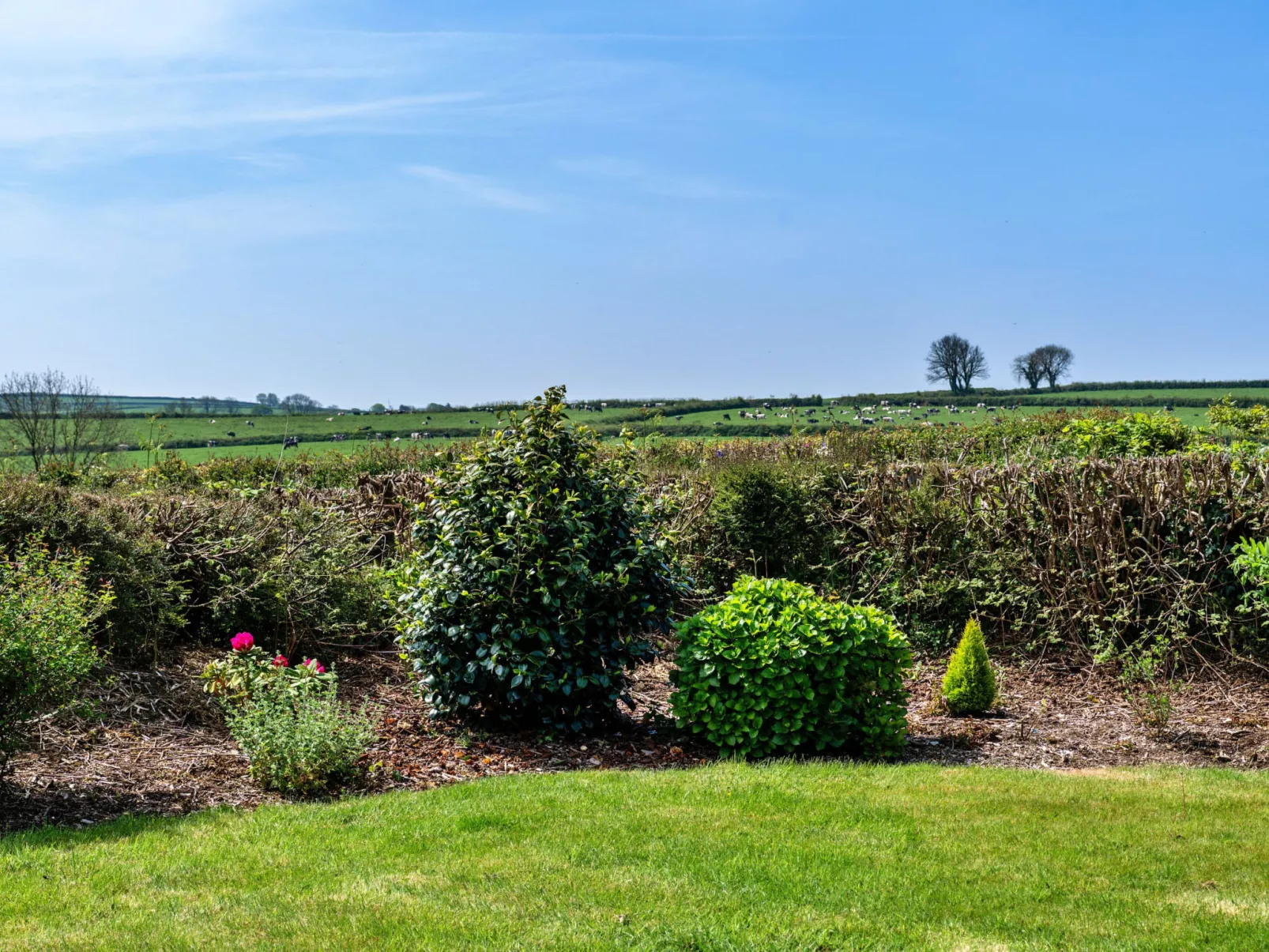 Cutkieve Farm Cottage