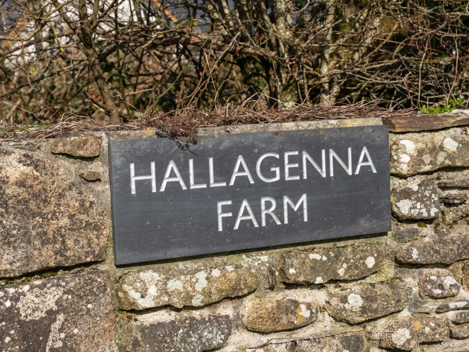 Stable Barn Apartment at Bodmin Moor