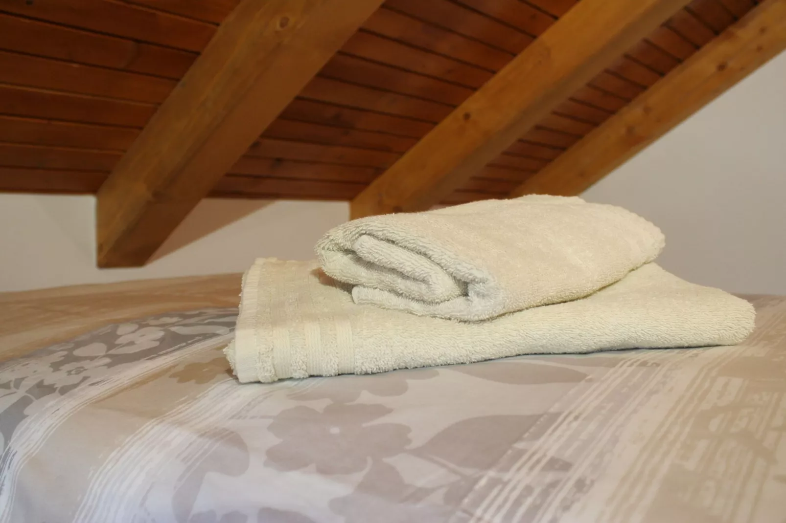 Riverside Rustic Ridge Apartments with Balcony - Three Bedroom Apartment with Balcony