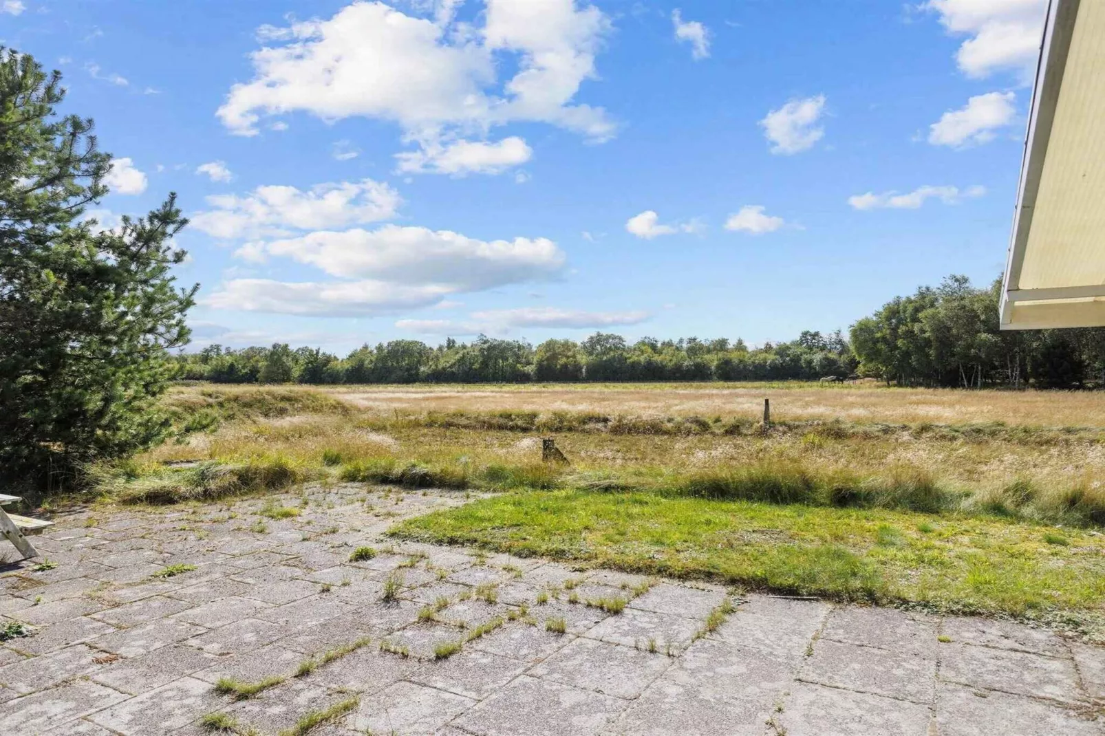 5 sterren vakantie huis in Jerup