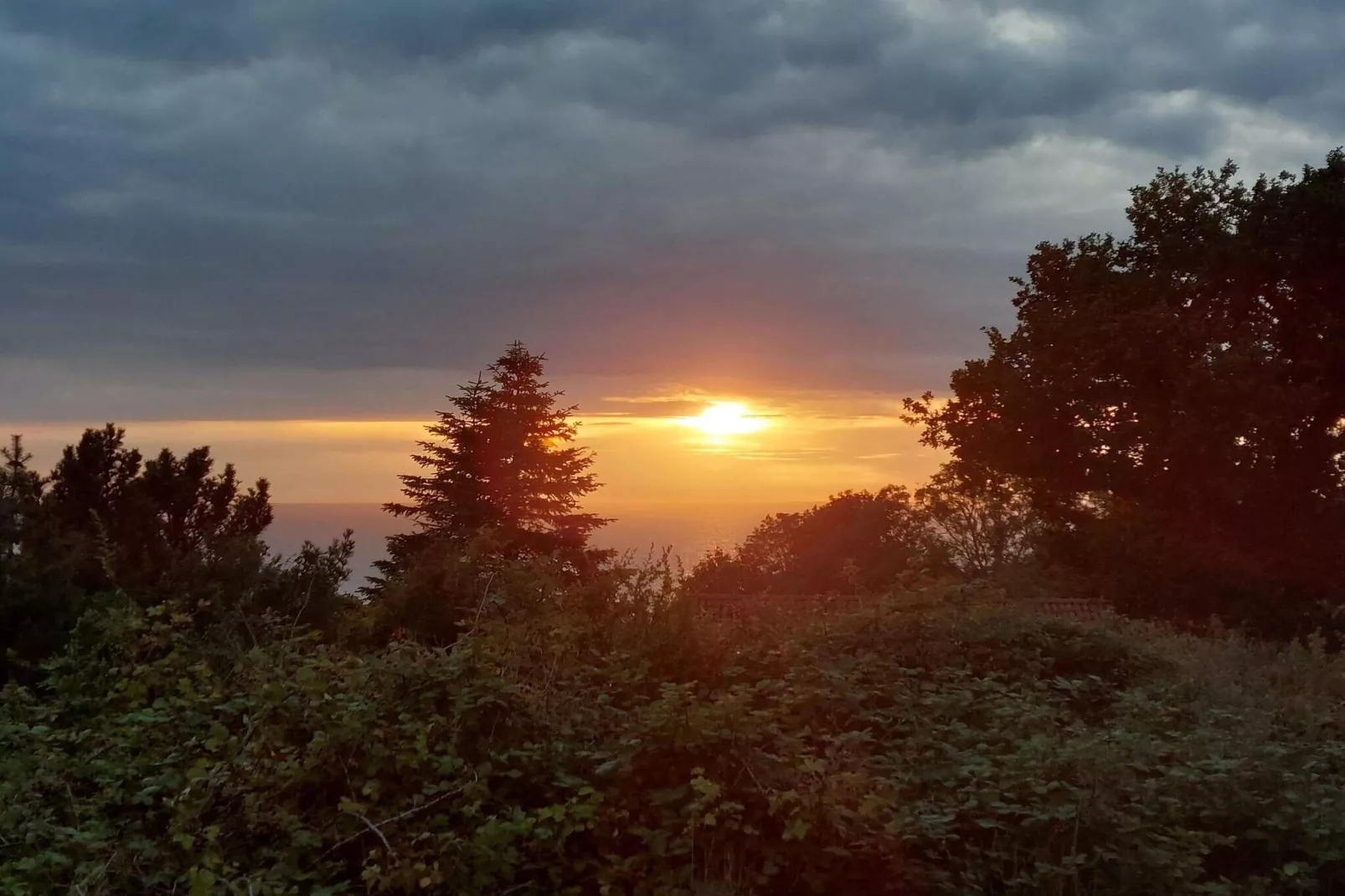 5 sterren vakantie huis in Hasle