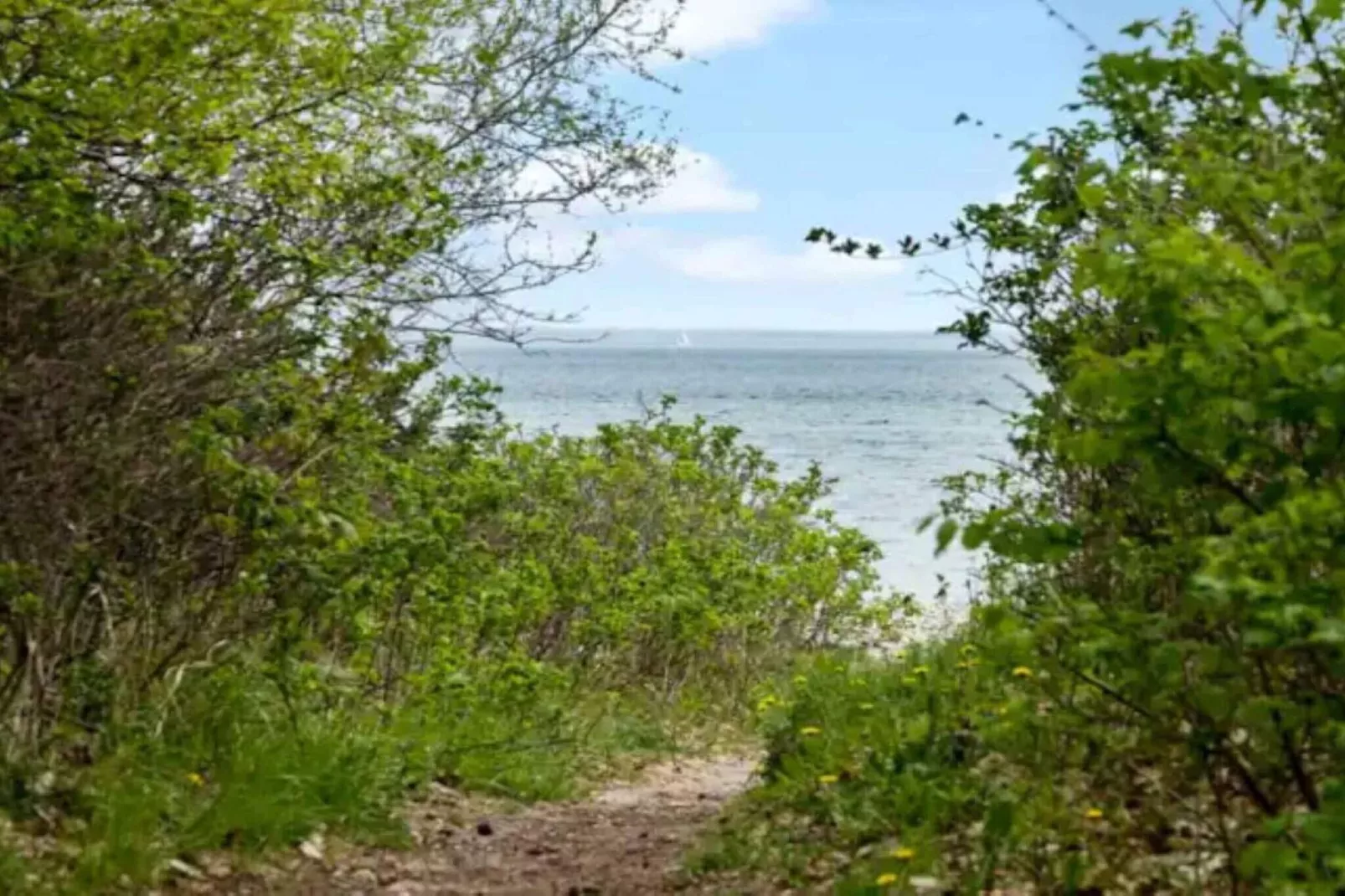 5 sterren vakantie huis in Dronningmølle