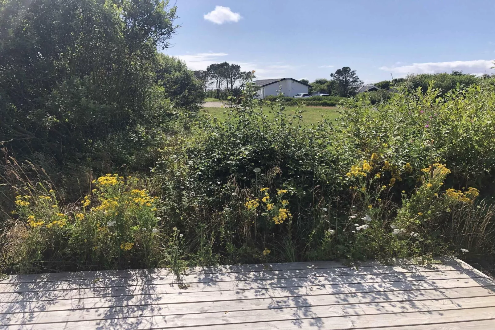 5 sterren vakantie huis in Vestervig