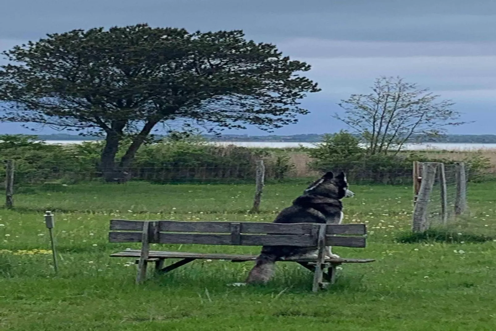 5 sterren vakantie huis in Holbæk